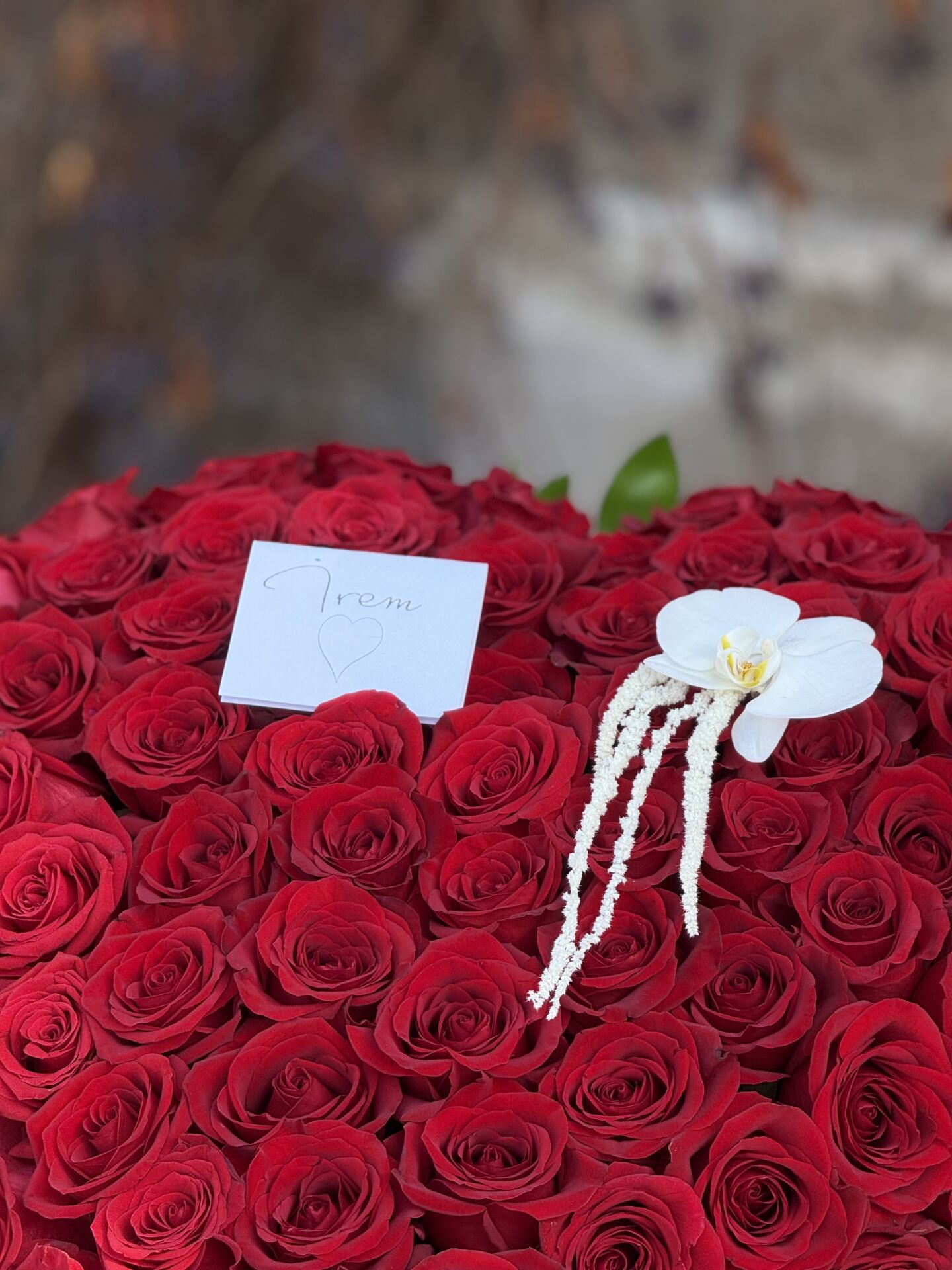 Kalbimin Tek Sahibine Kırmızı Güller