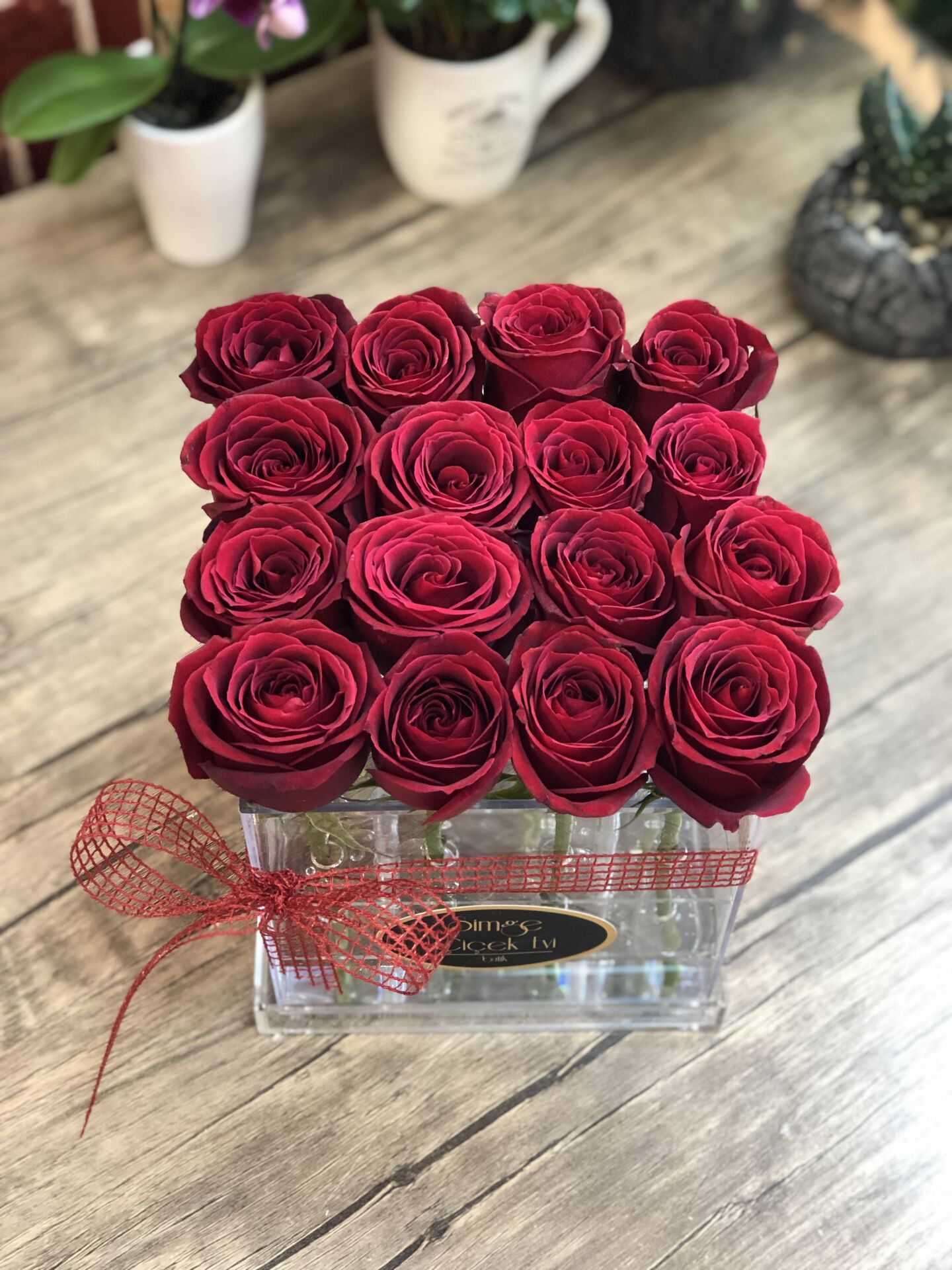 Pleksi Kutuda Kırmızı Güller