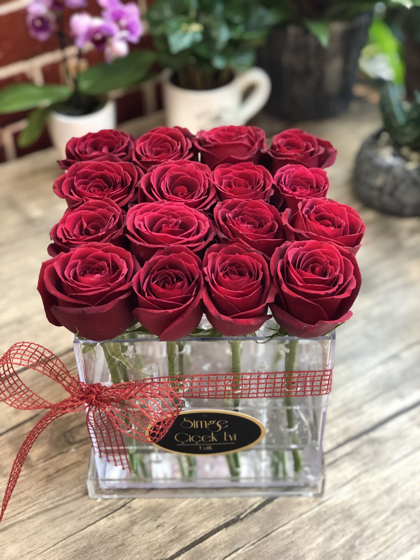 Pleksi Kutuda Kırmızı Güller