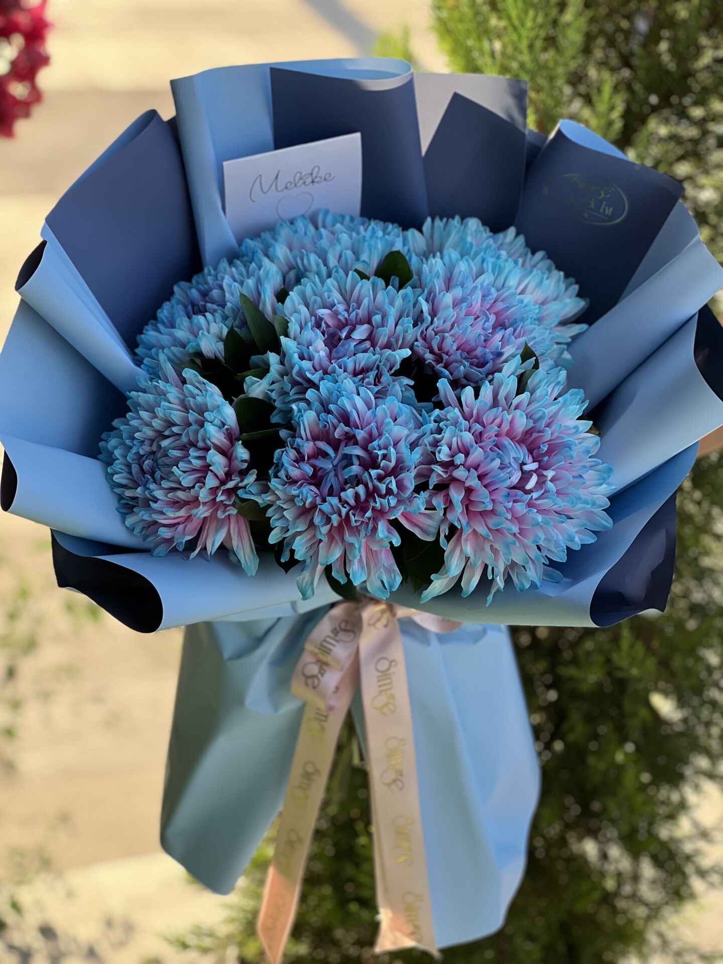 Special Anastasia Buketi