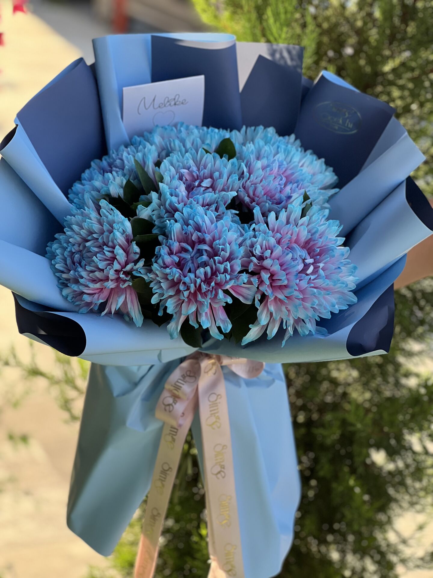 Special Anastasia Buketi