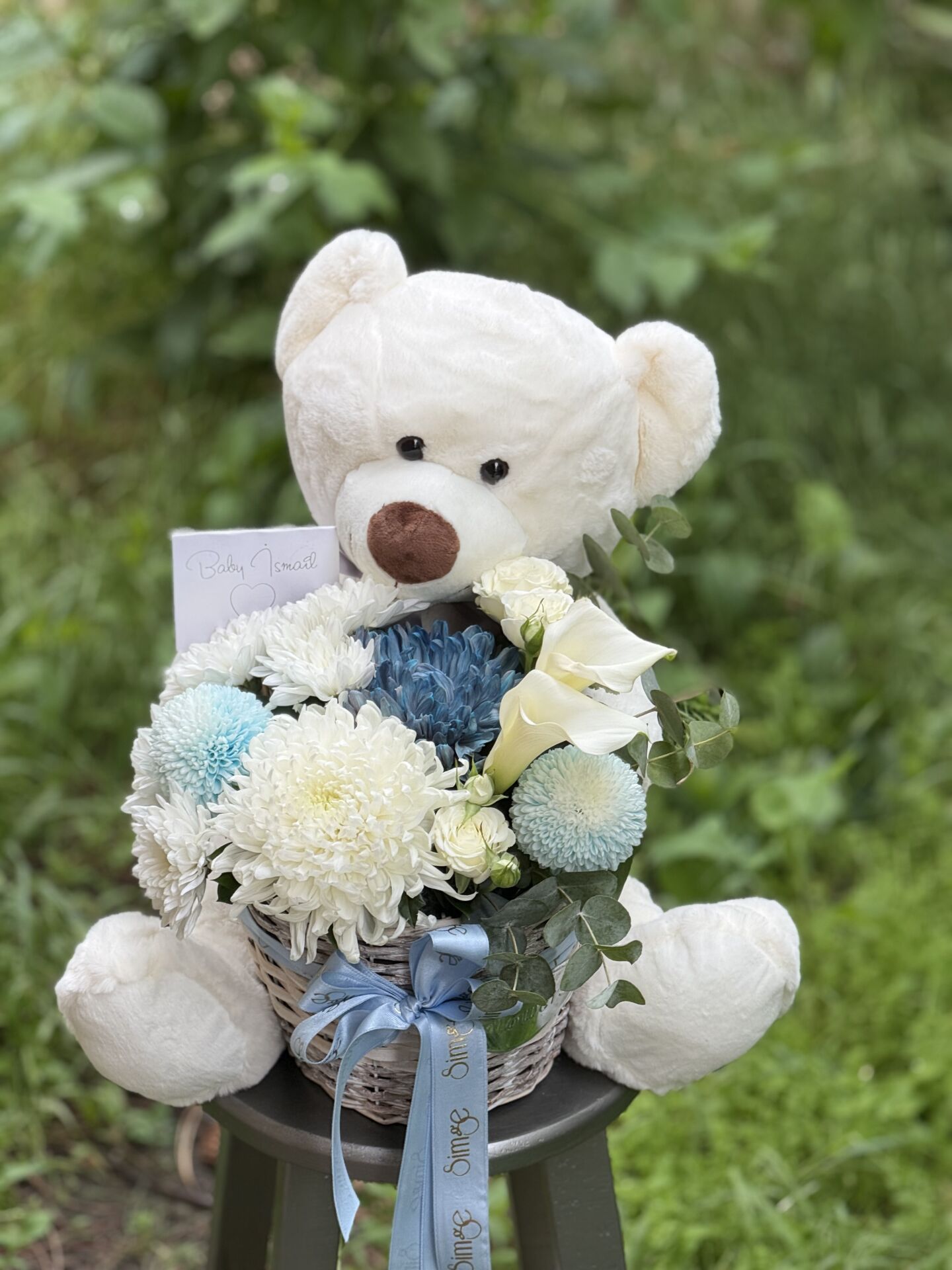 Peluş Ayılı Bebek Doğum Aranjmanı