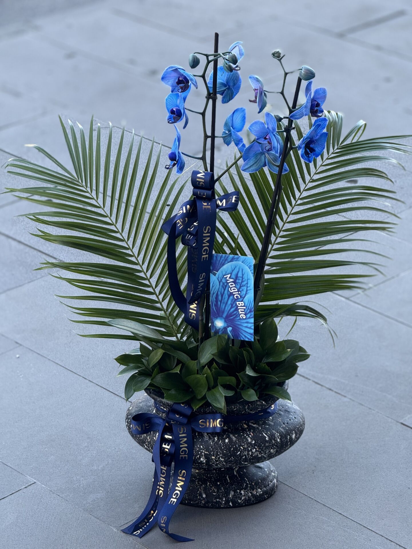 Seramik Vazoda Çift Dallı Mavi Orkide Aranjmanı