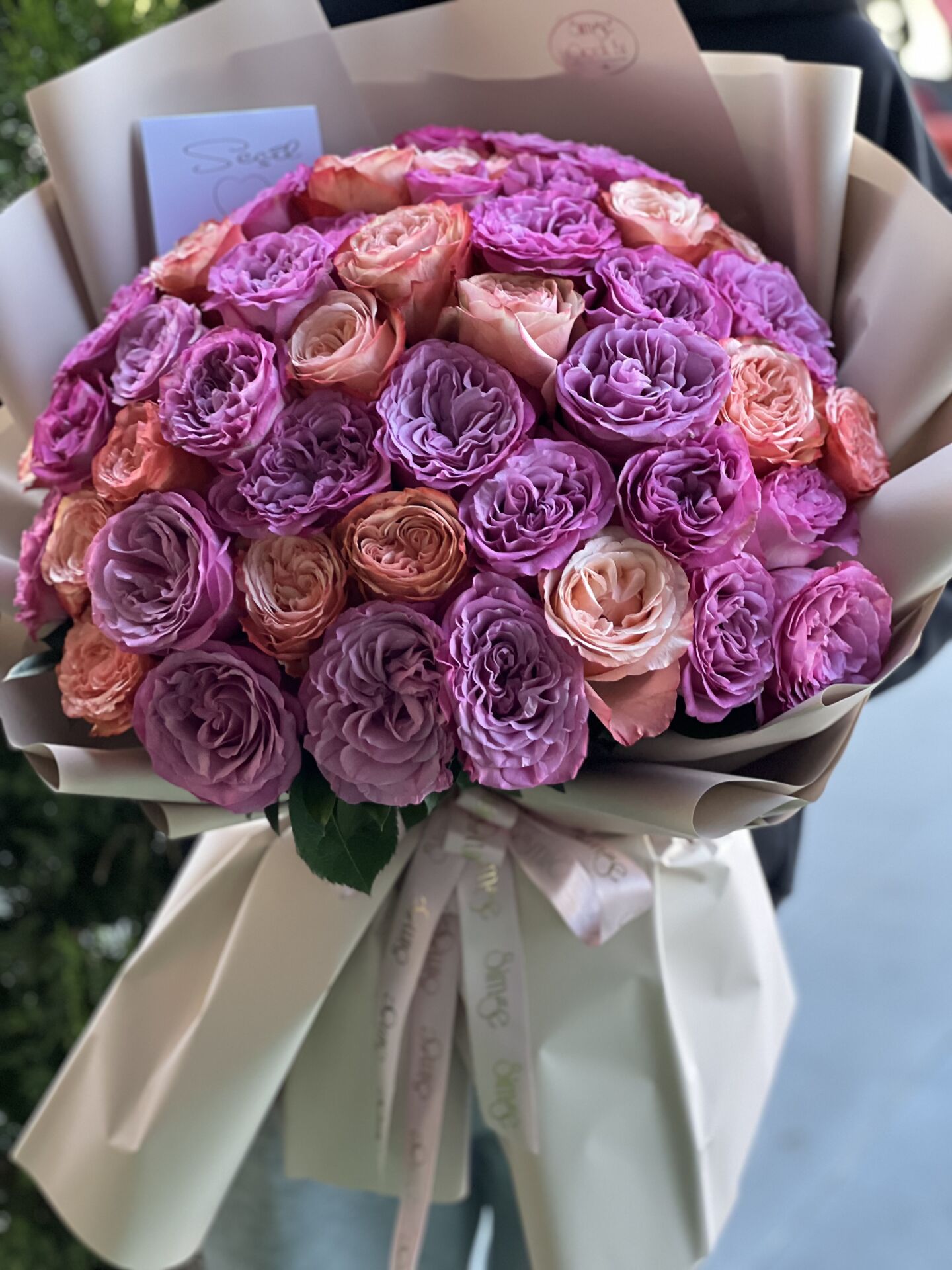 Renkli Ekvator Gülleri