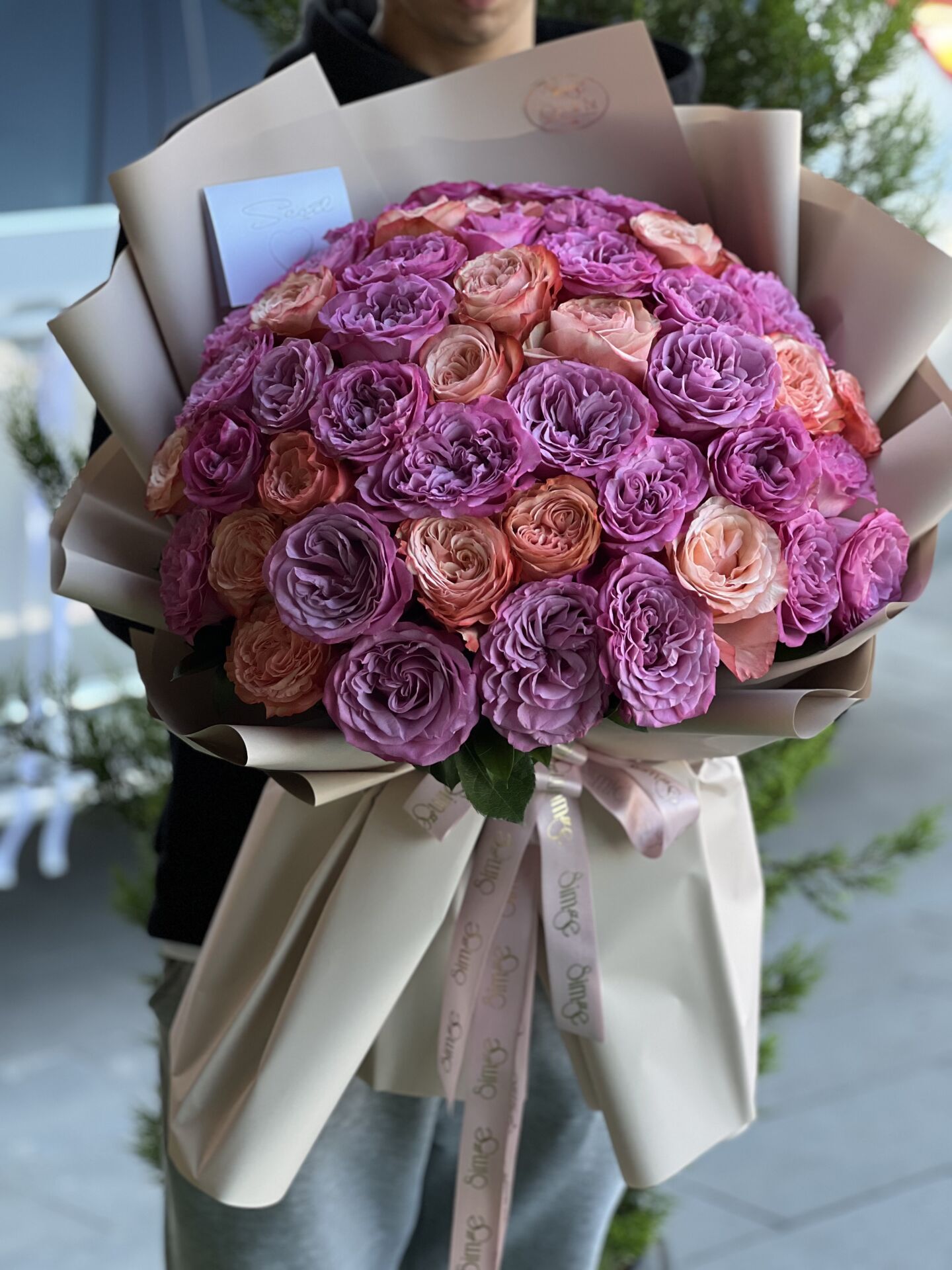 Renkli Ekvator Gülleri