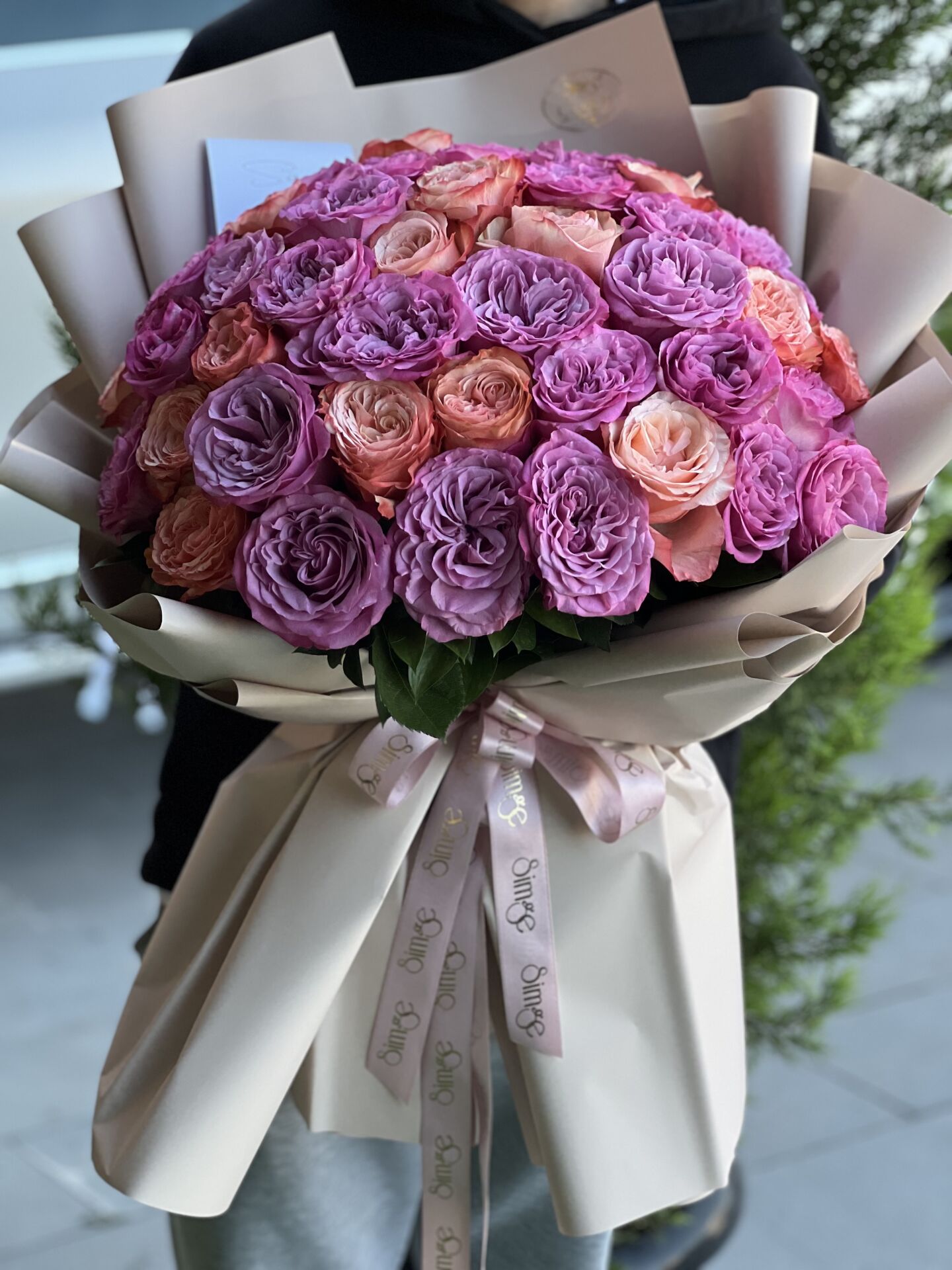 Renkli Ekvator Gülleri