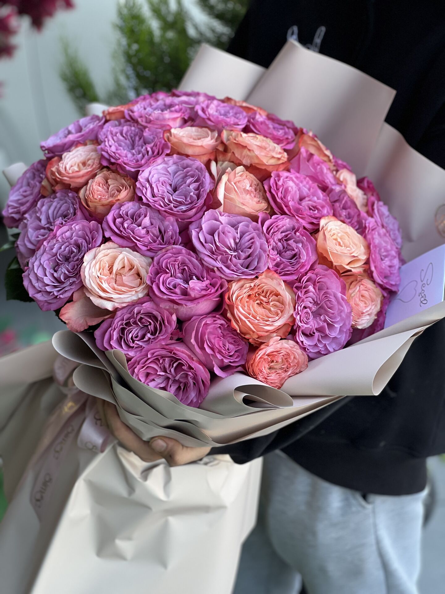 Renkli Ekvator Gülleri