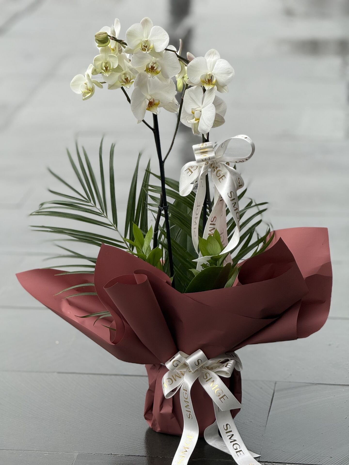 Çift Dal Beyaz Orkide