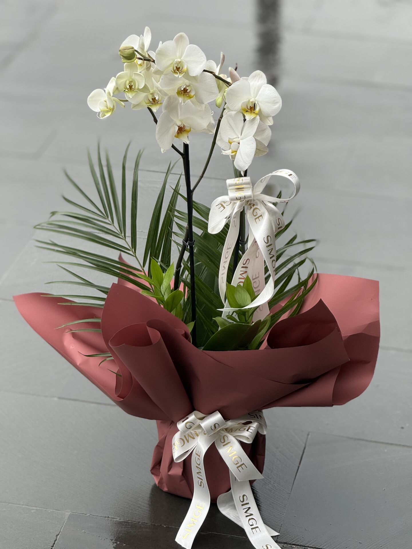 Çift Dal Beyaz Orkide