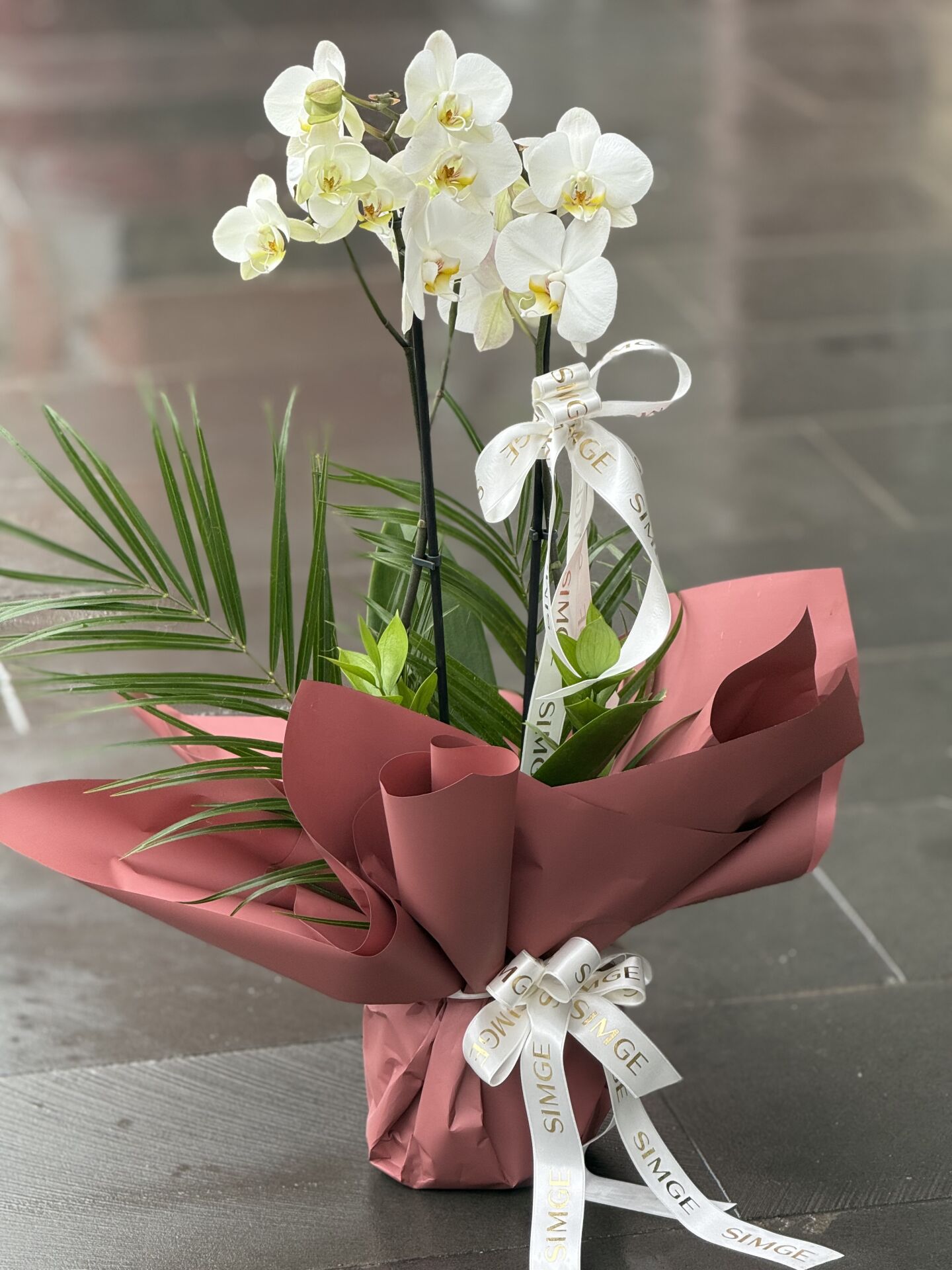 Çift Dal Beyaz Orkide