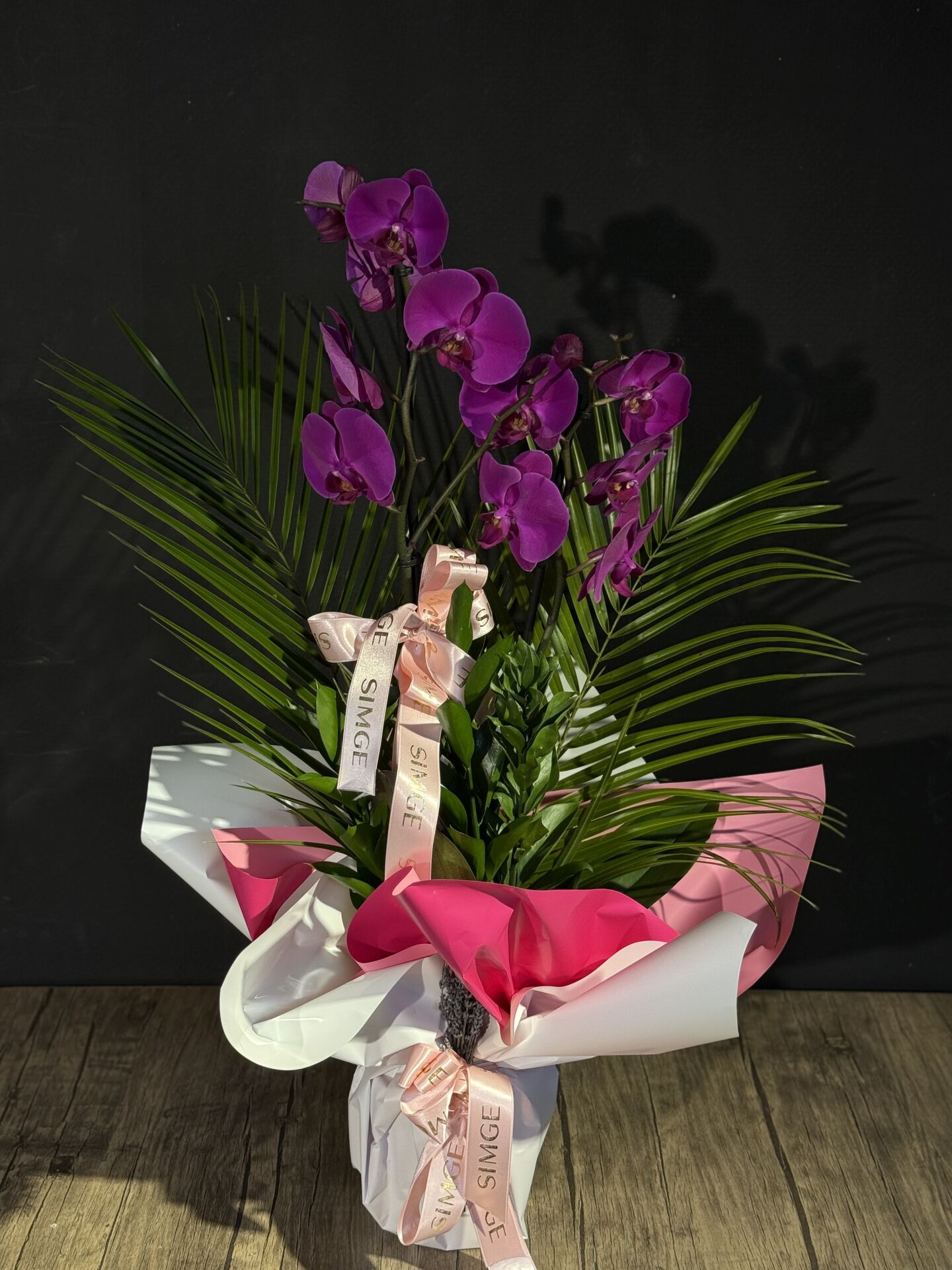 Çift Dal Mor Orkide