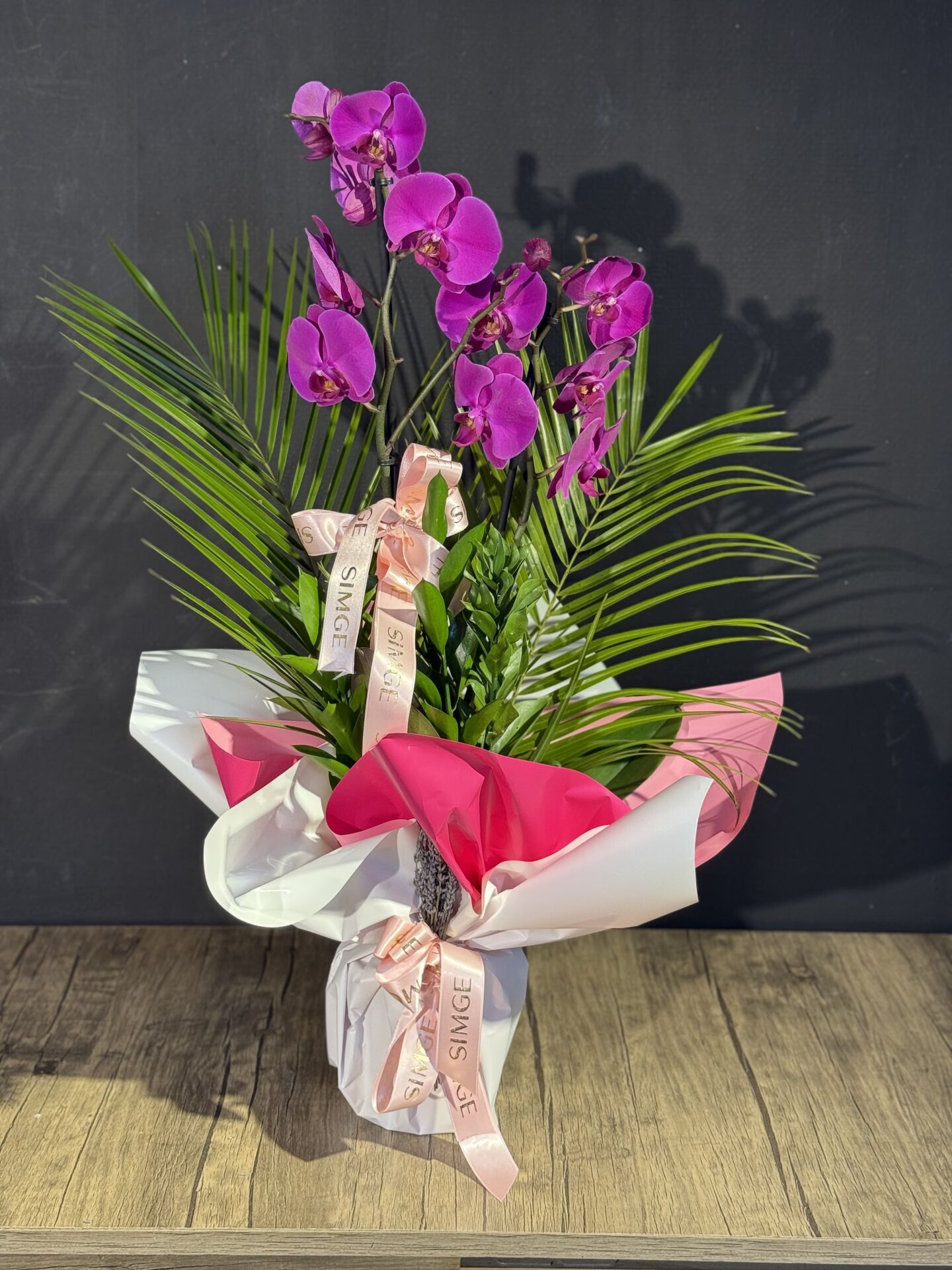 Çift Dal Mor Orkide