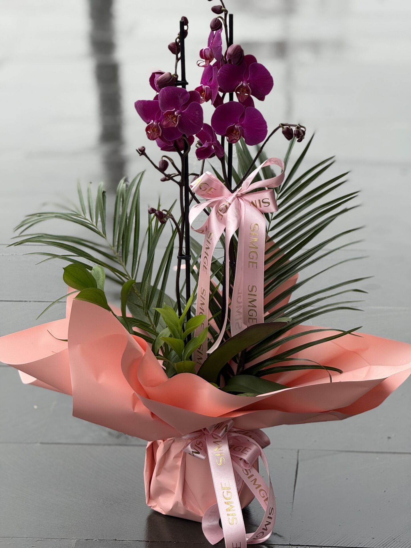 Çift Dal Mor Orkide