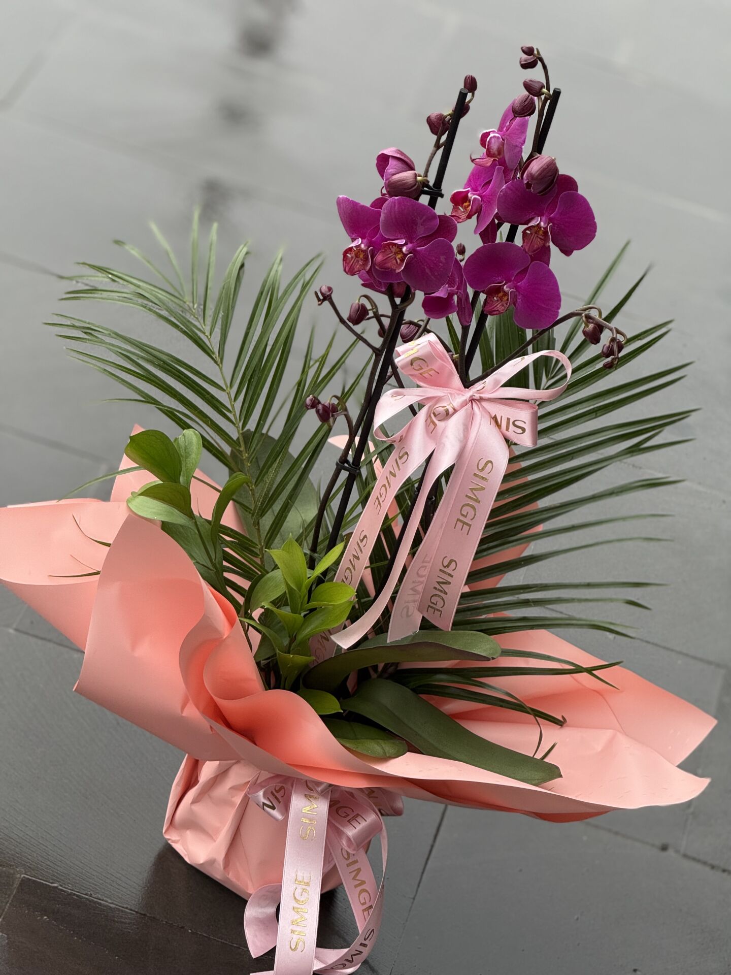 Çift Dal Mor Orkide