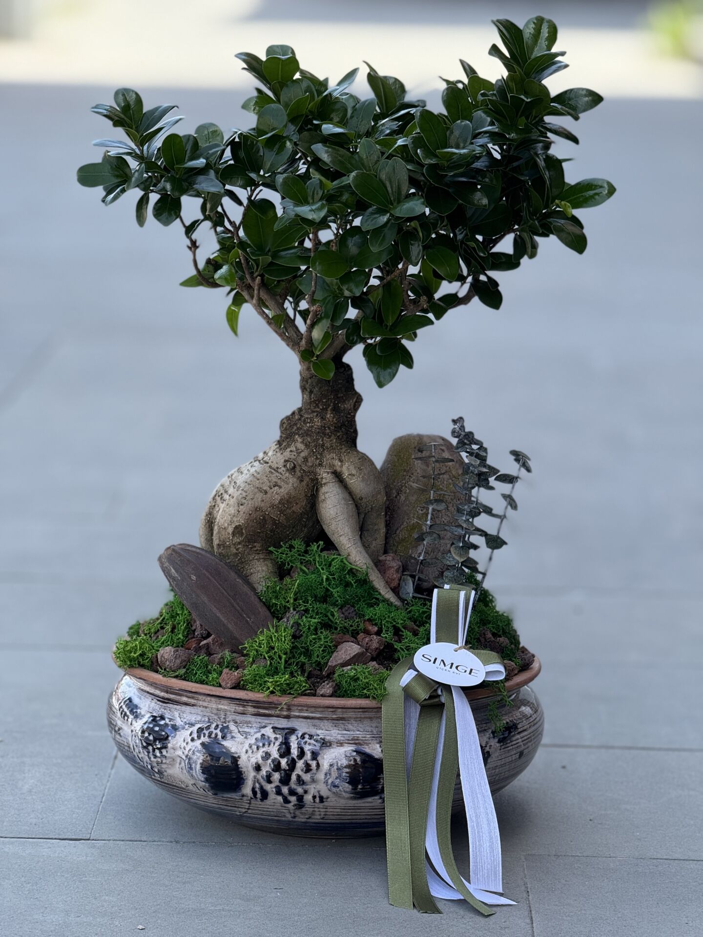Bonsai Bitki Aranjmanı
