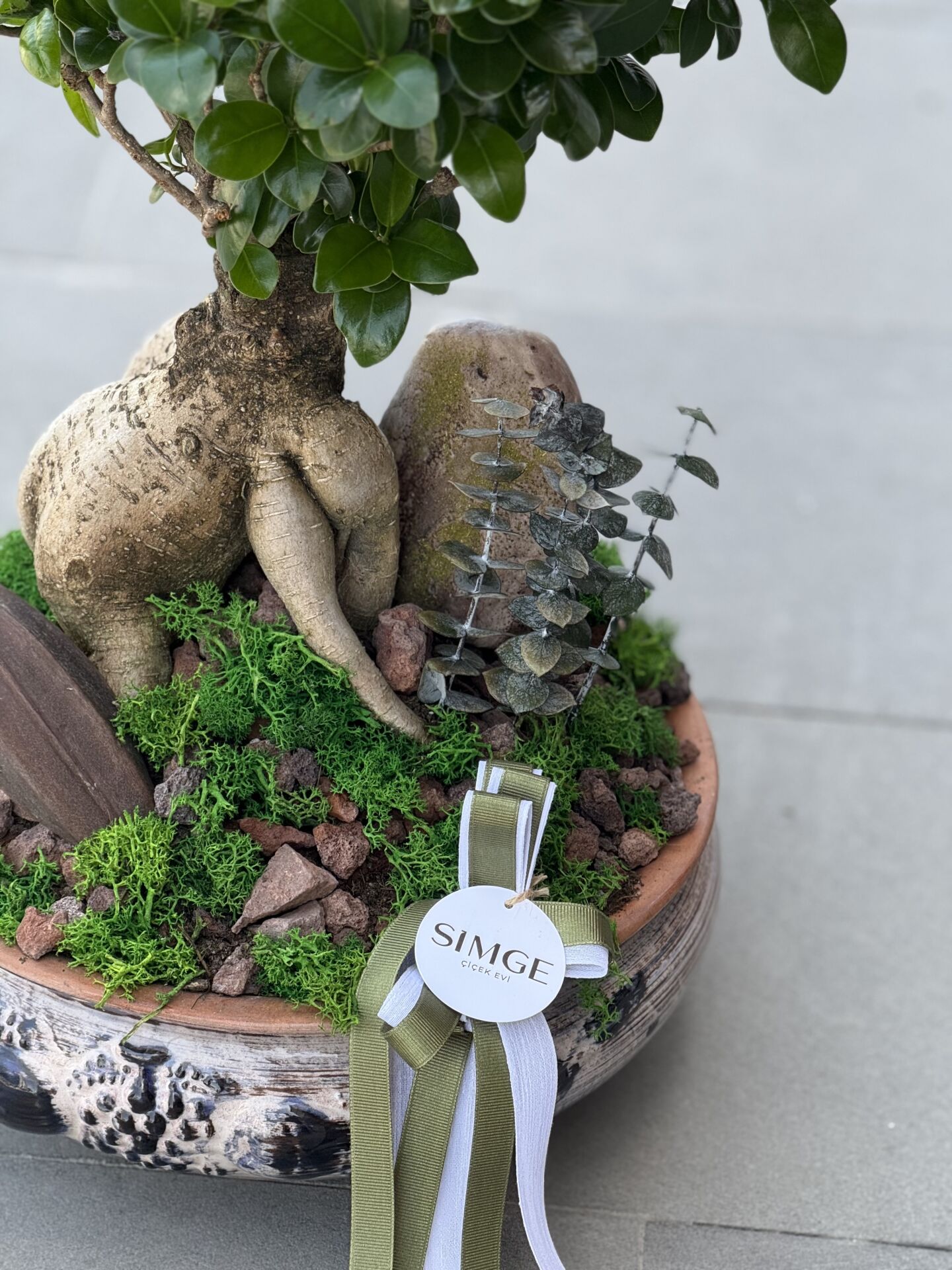 Bonsai Bitki Aranjmanı