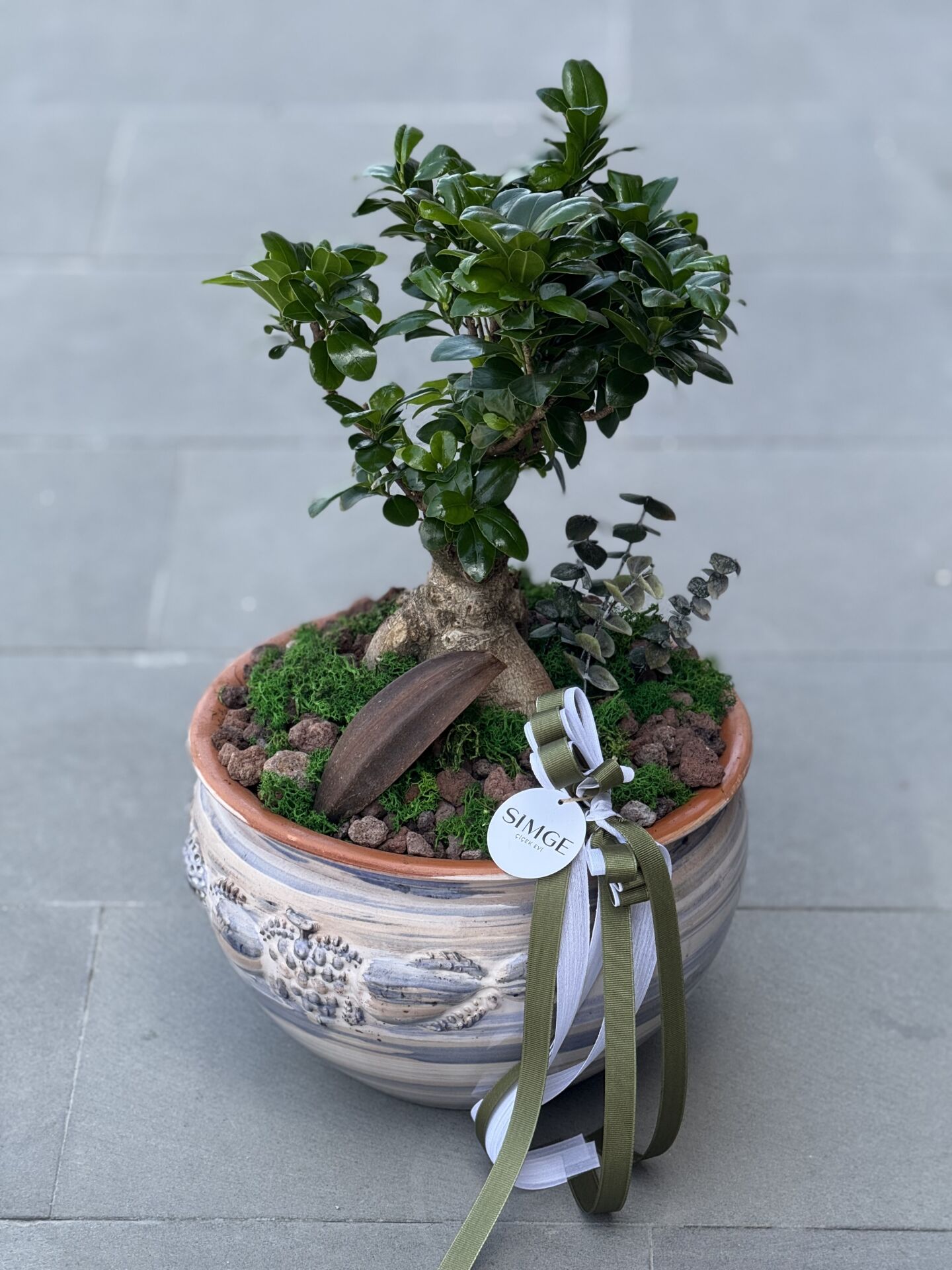 Seramik Vazolu Bonsai