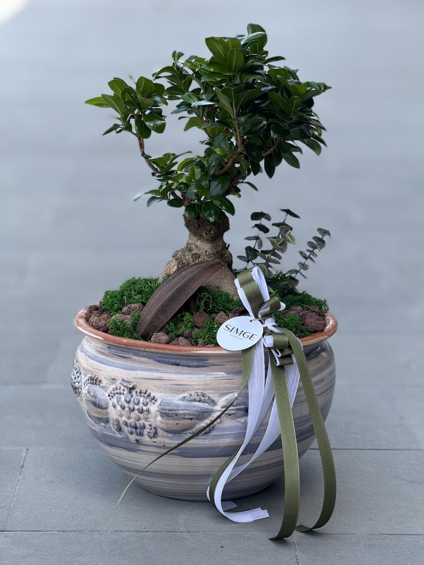 Seramik Vazolu Bonsai