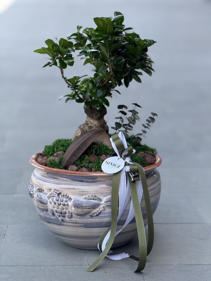 Seramik Vazolu Bonsai