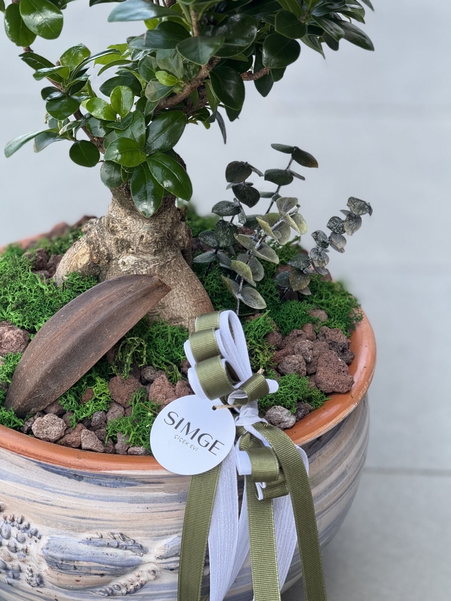 Seramik Vazolu Bonsai