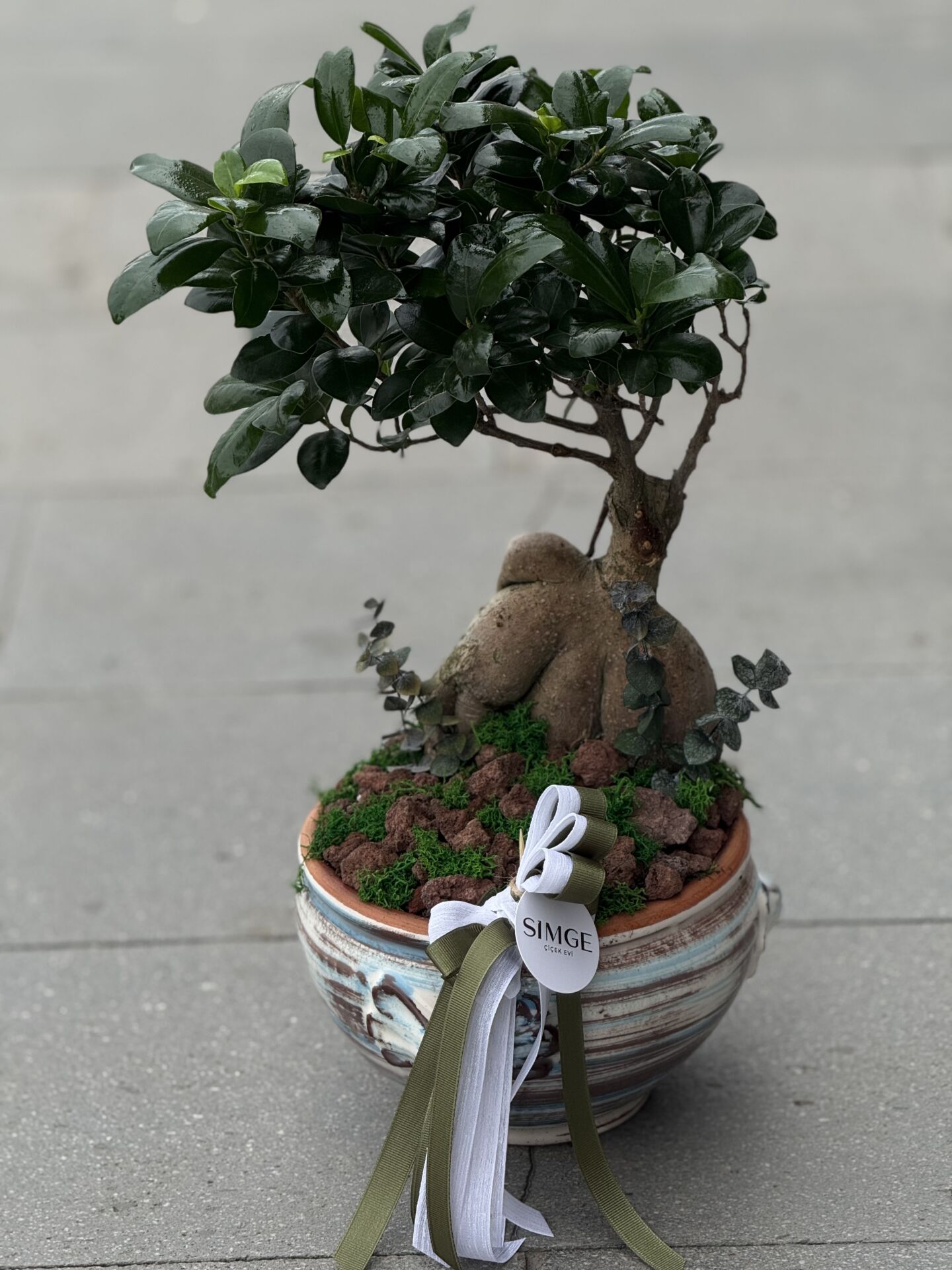Vazolu Bonsai Aranjman