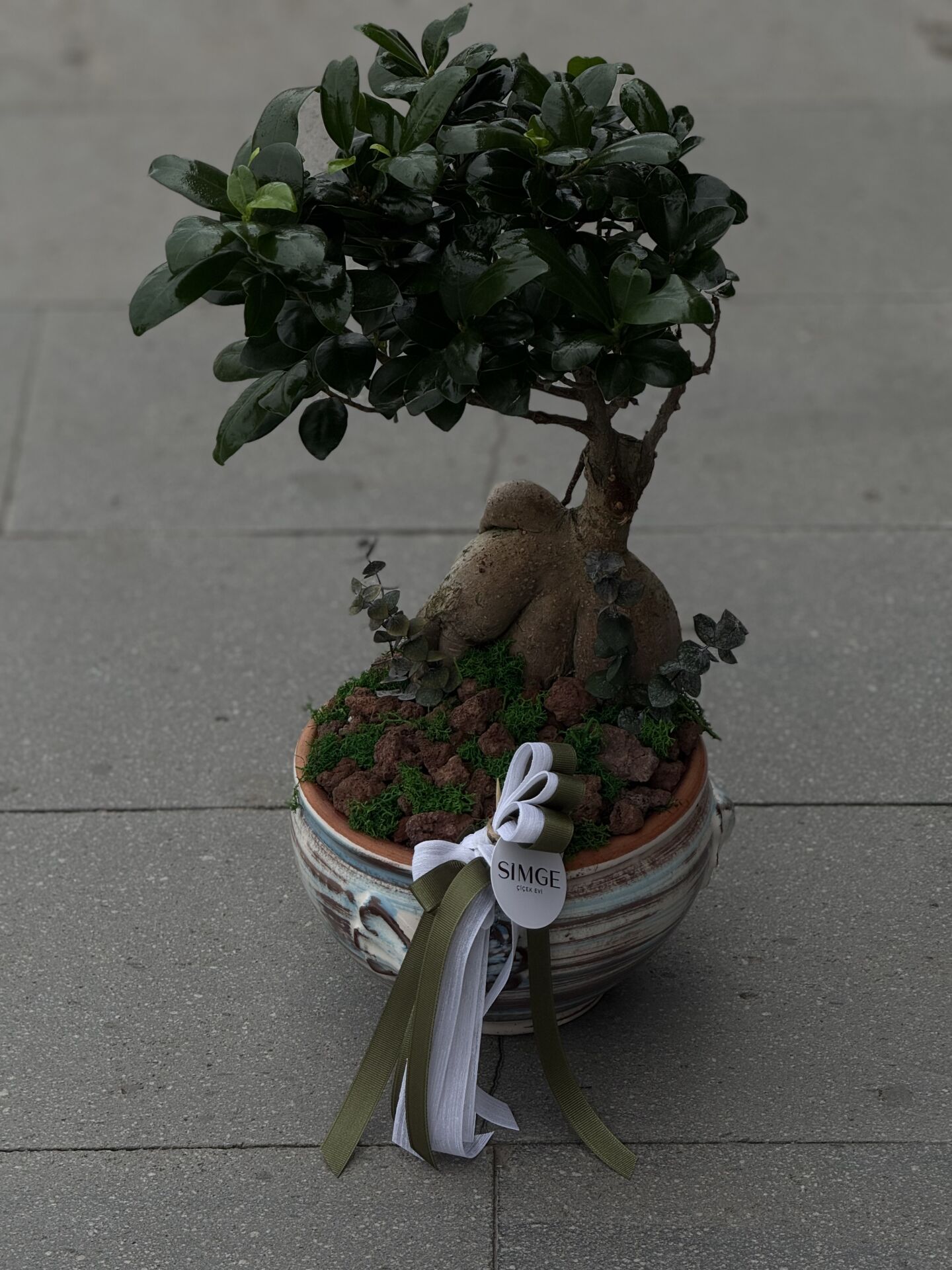 Vazolu Bonsai Aranjman