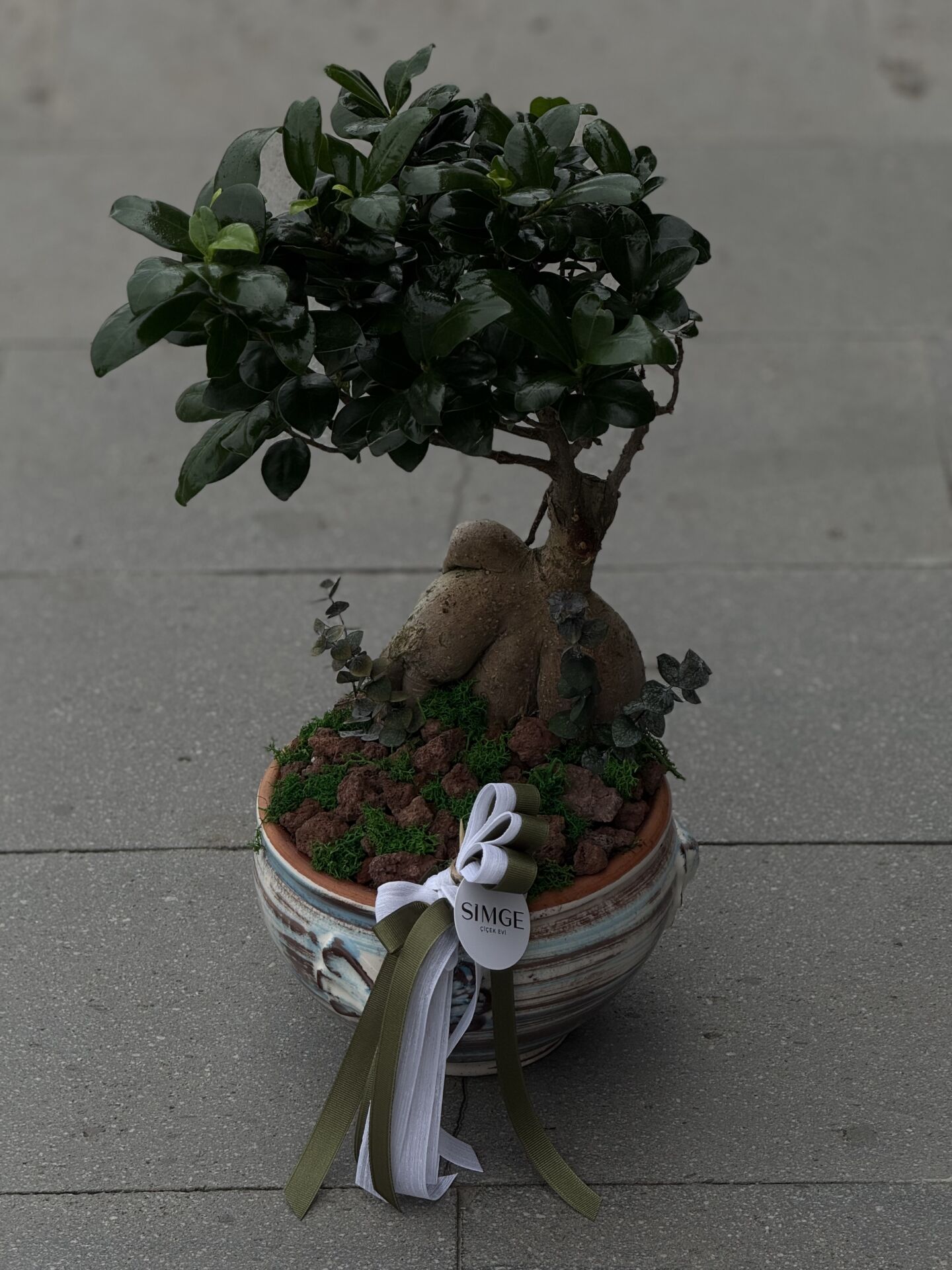 Vazolu Bonsai Aranjman