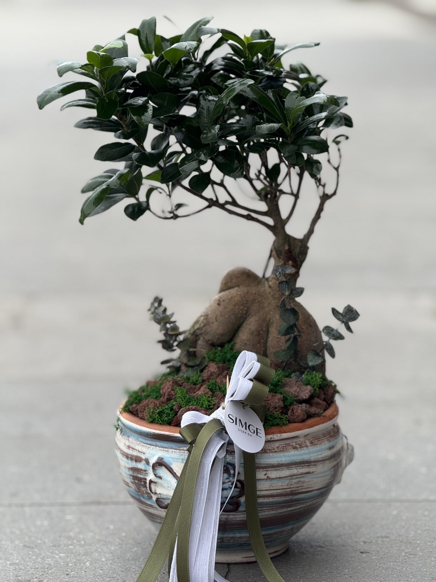 Vazolu Bonsai Aranjman