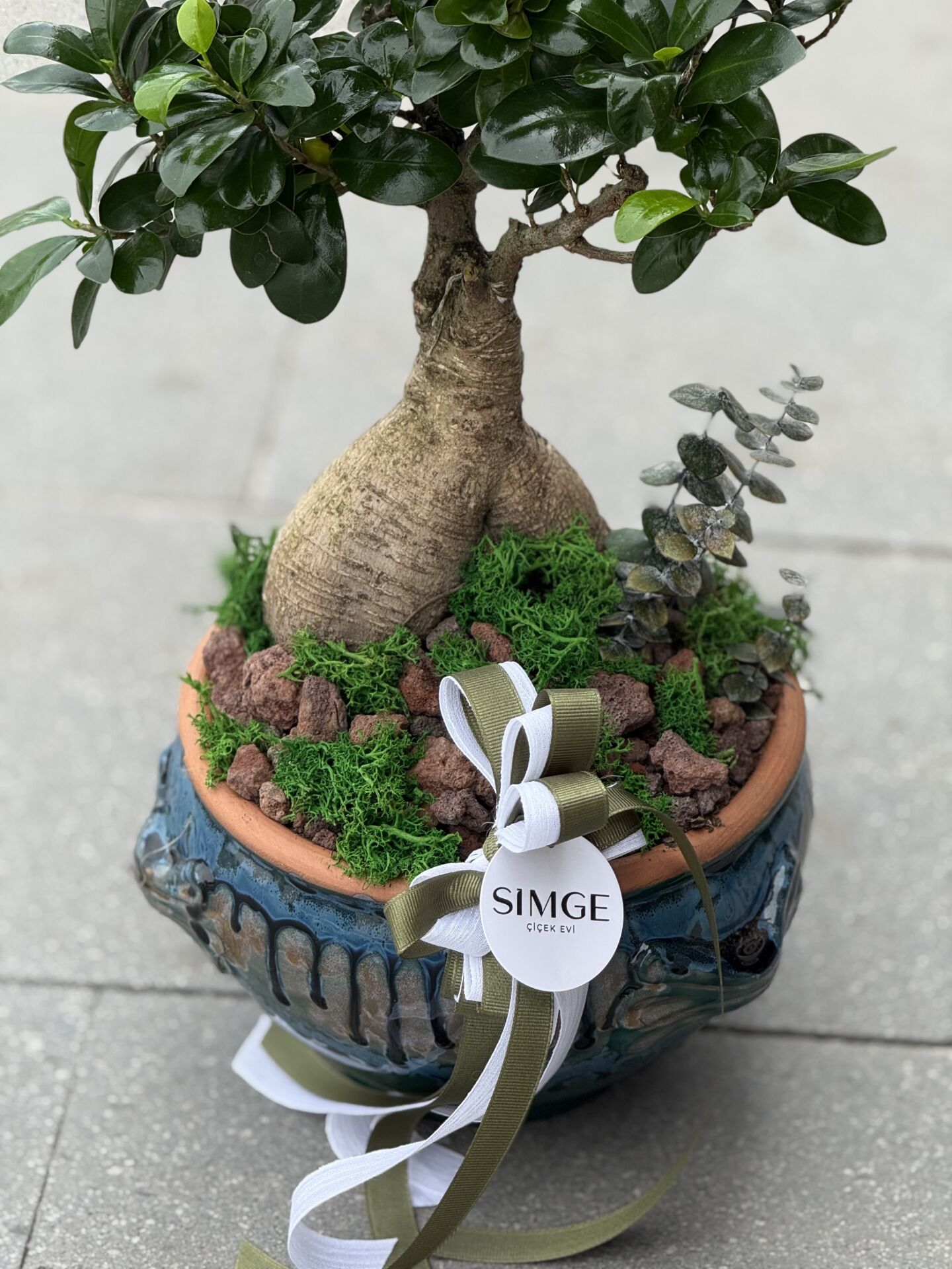 Bonsai Vazolu Aranjman