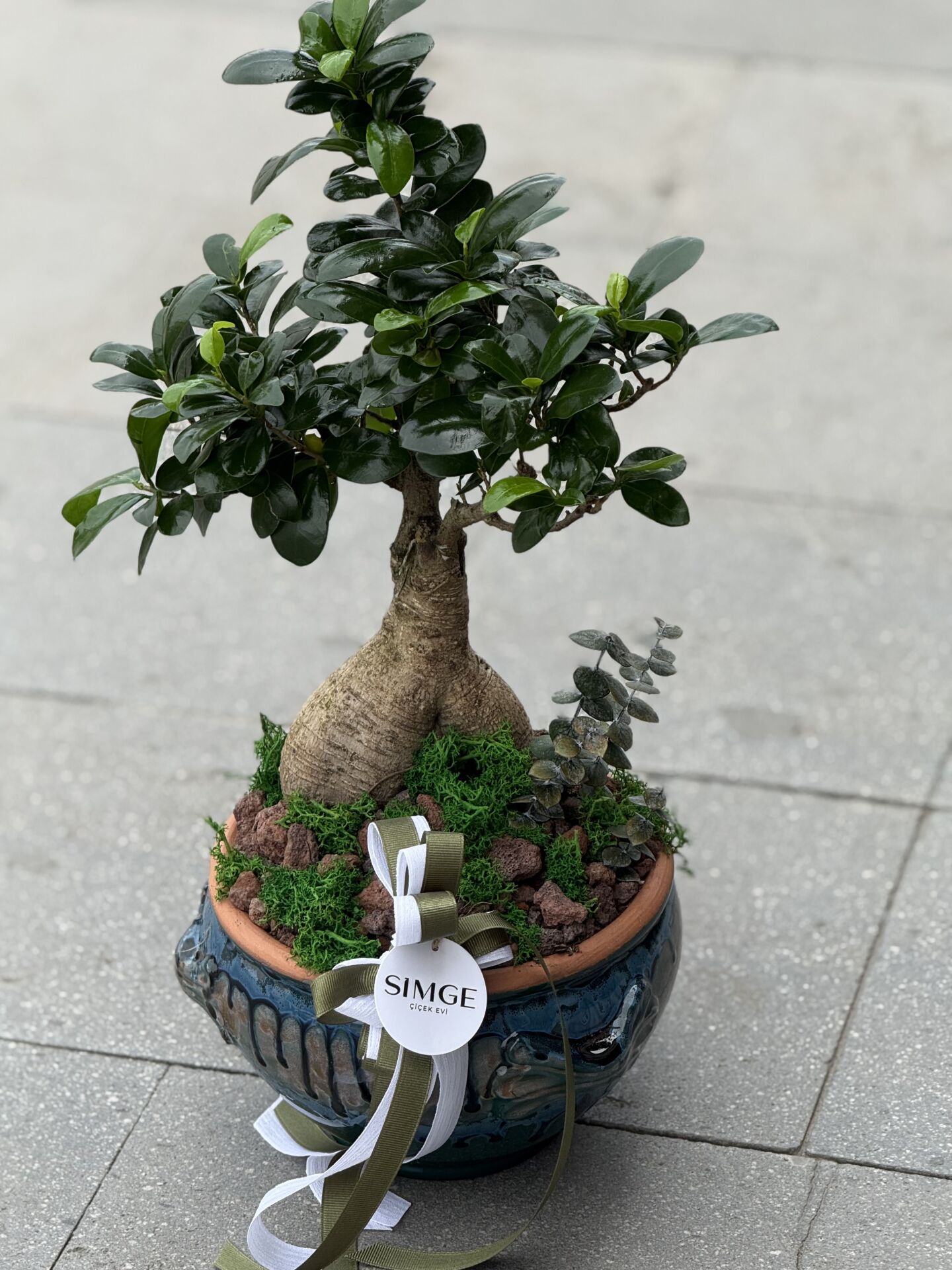 Bonsai Vazolu Aranjman