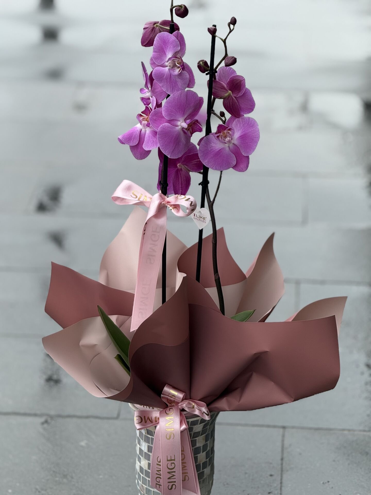 Çift Dal Pembe Orkide Cam Vazolu