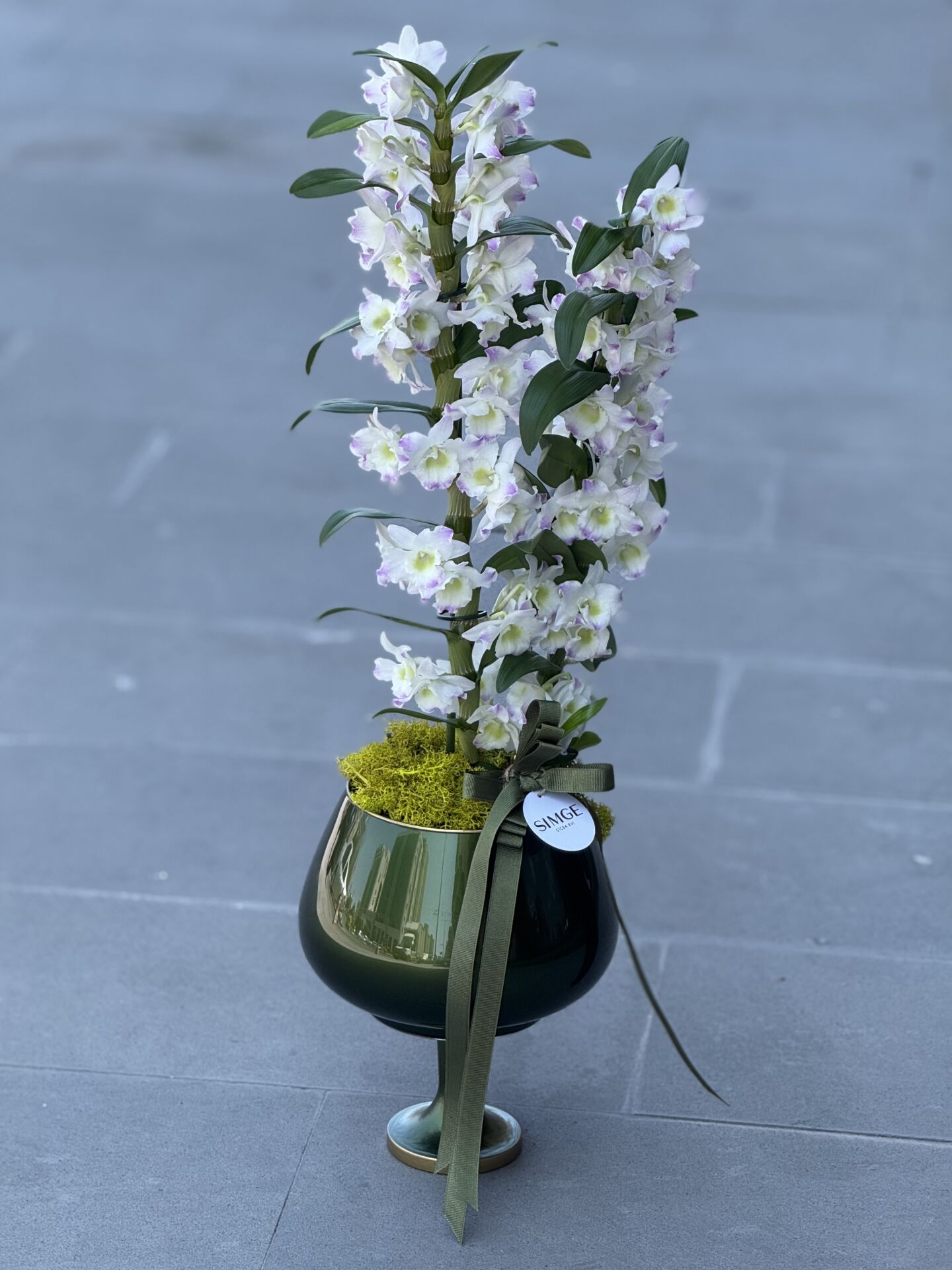 Hoş Kokulu Dendrobium Cam Vazolu Orkide
