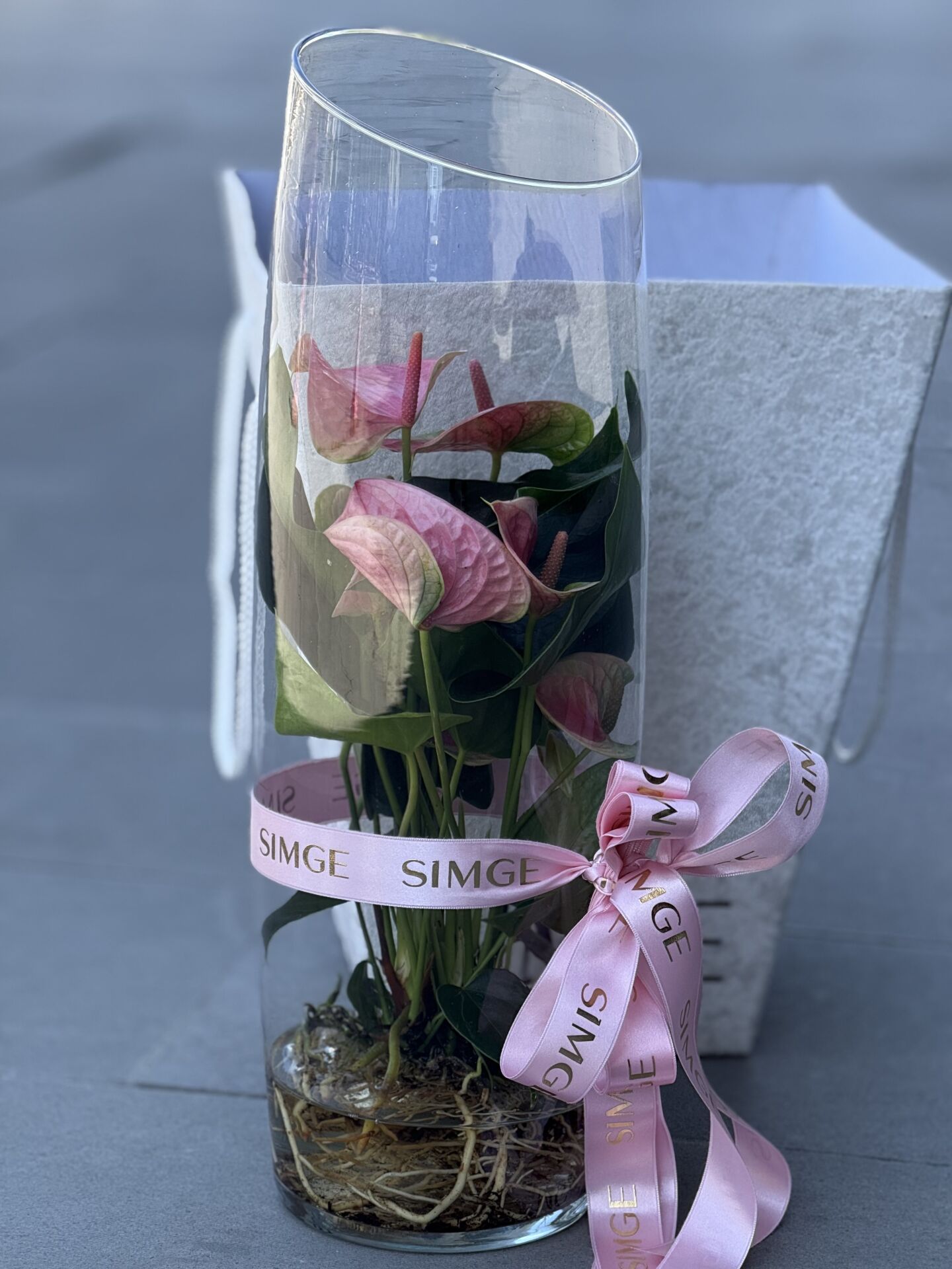 Cam Vazoda Anthurium Bitkisi