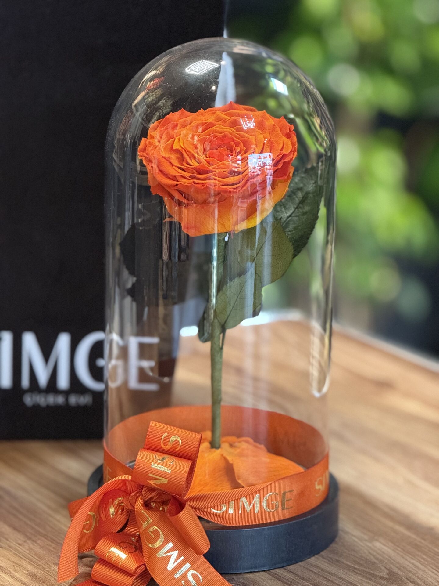 Cam Fanusta Büyük Boy Turuncu Solmayan Gül