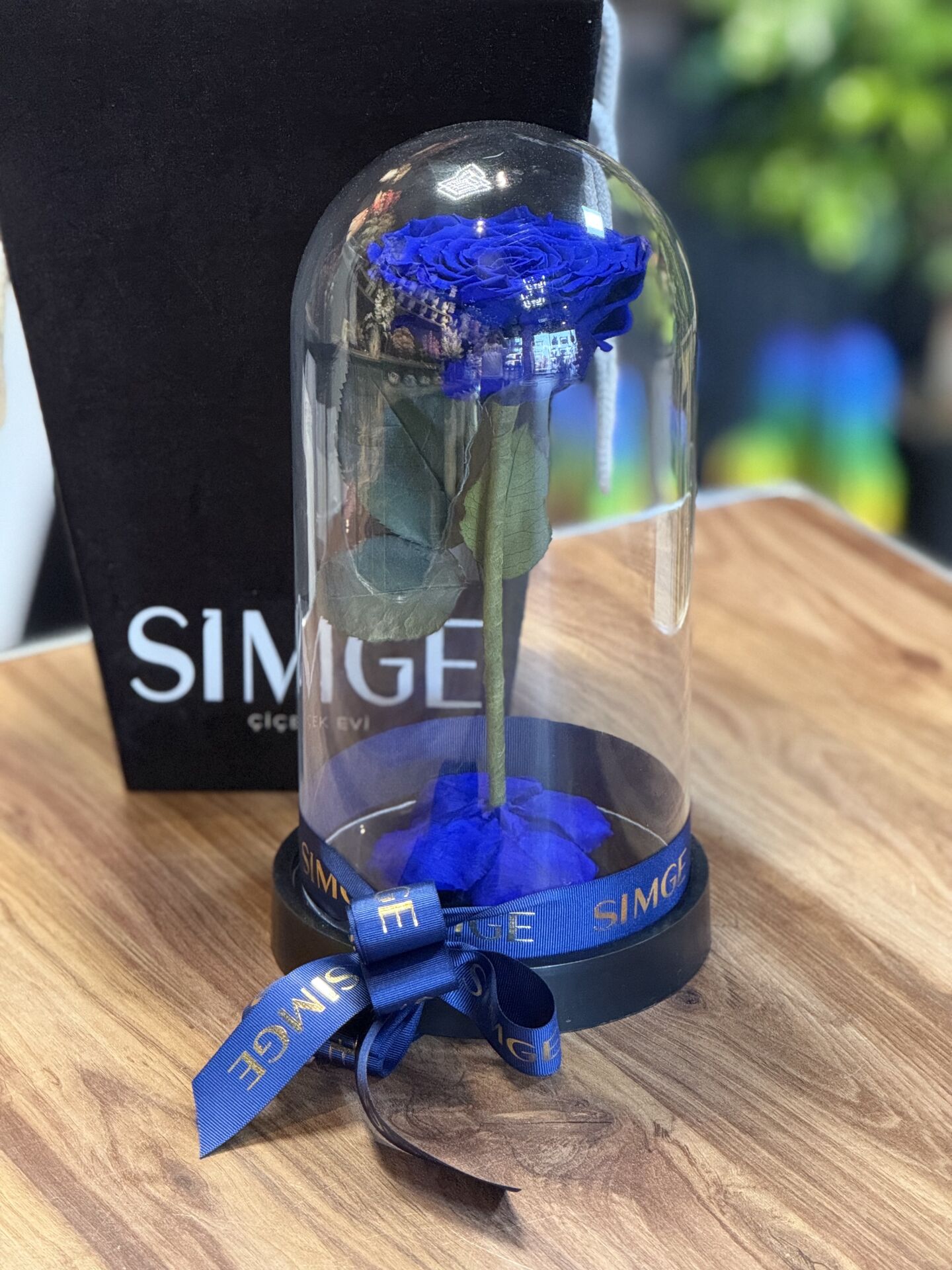 Cam Fanusta Büyük Boy Lacivert  Solmayan Gül