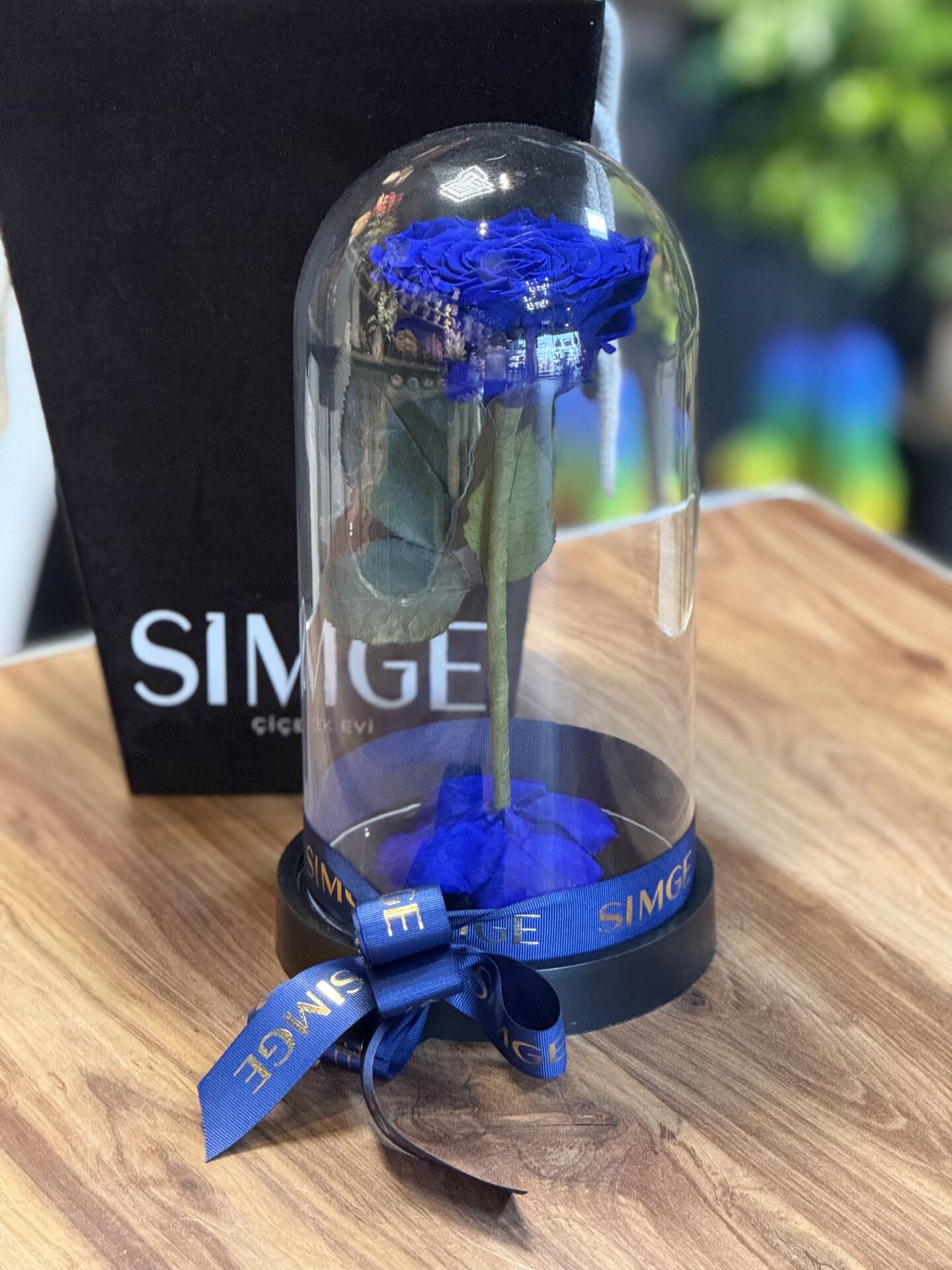 Cam Fanusta Büyük Boy Lacivert  Solmayan Gül