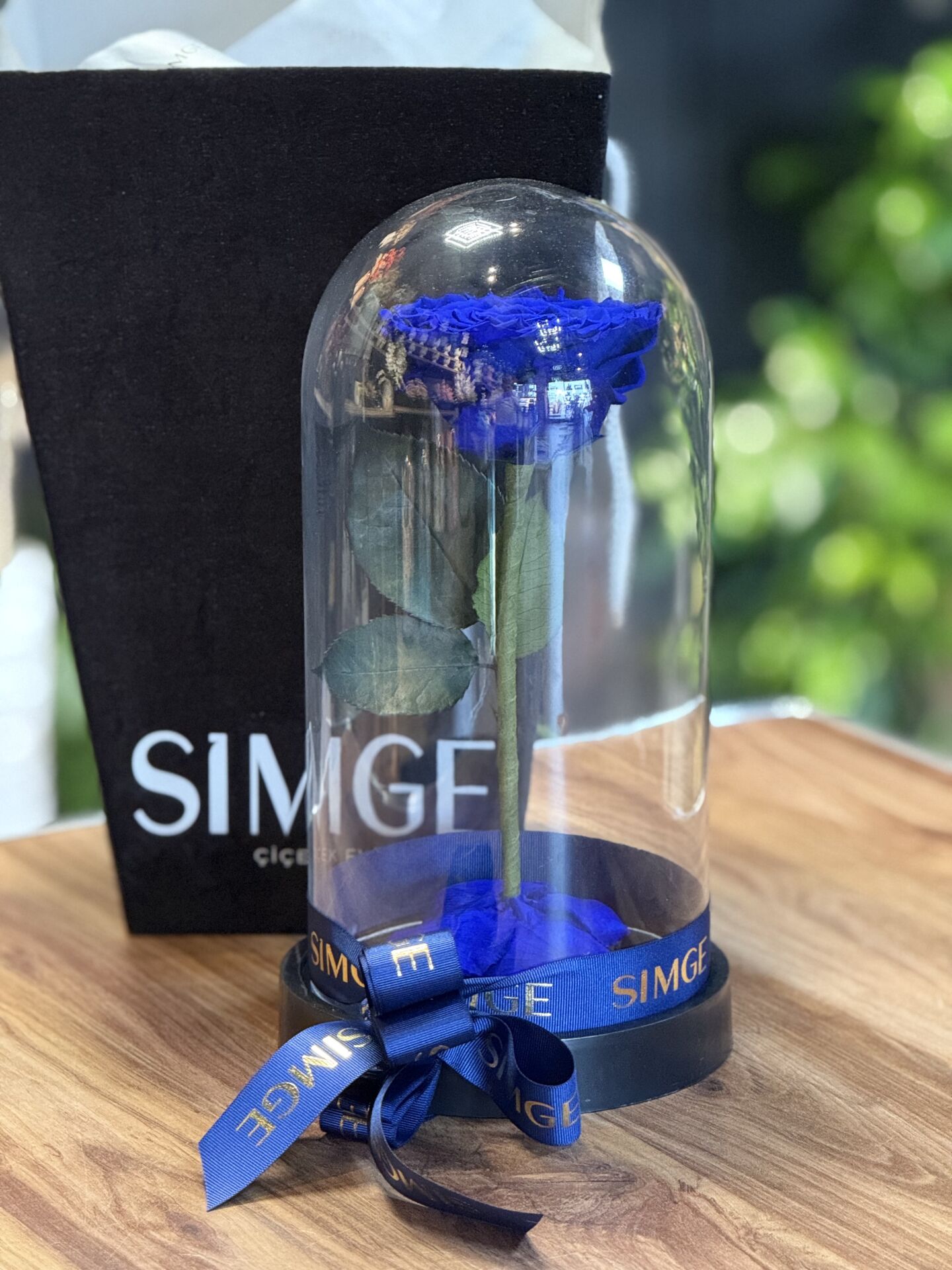 Cam Fanusta Büyük Boy Lacivert  Solmayan Gül