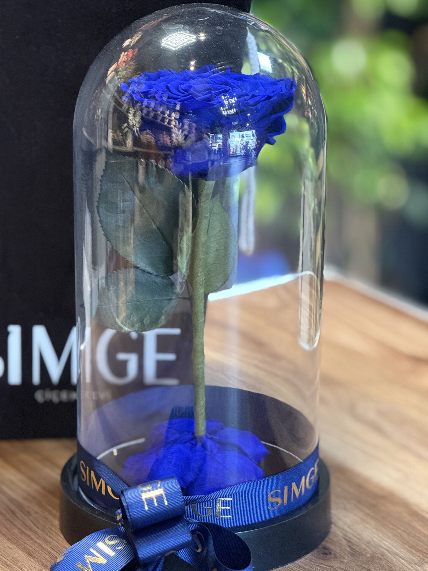 Cam Fanusta Büyük Boy Lacivert  Solmayan Gül