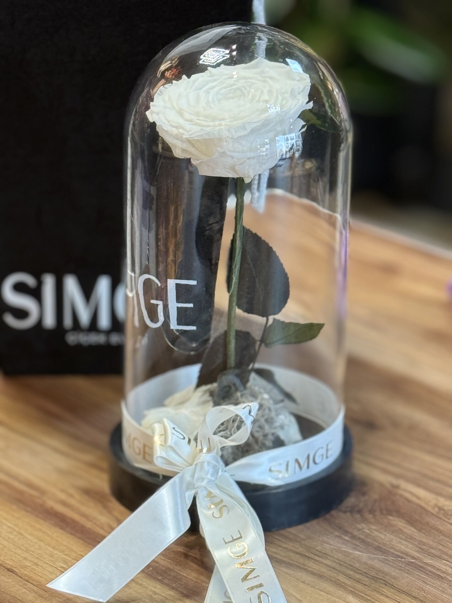 Cam Fanusta Büyük Boy Beyaz Solmayan Gül