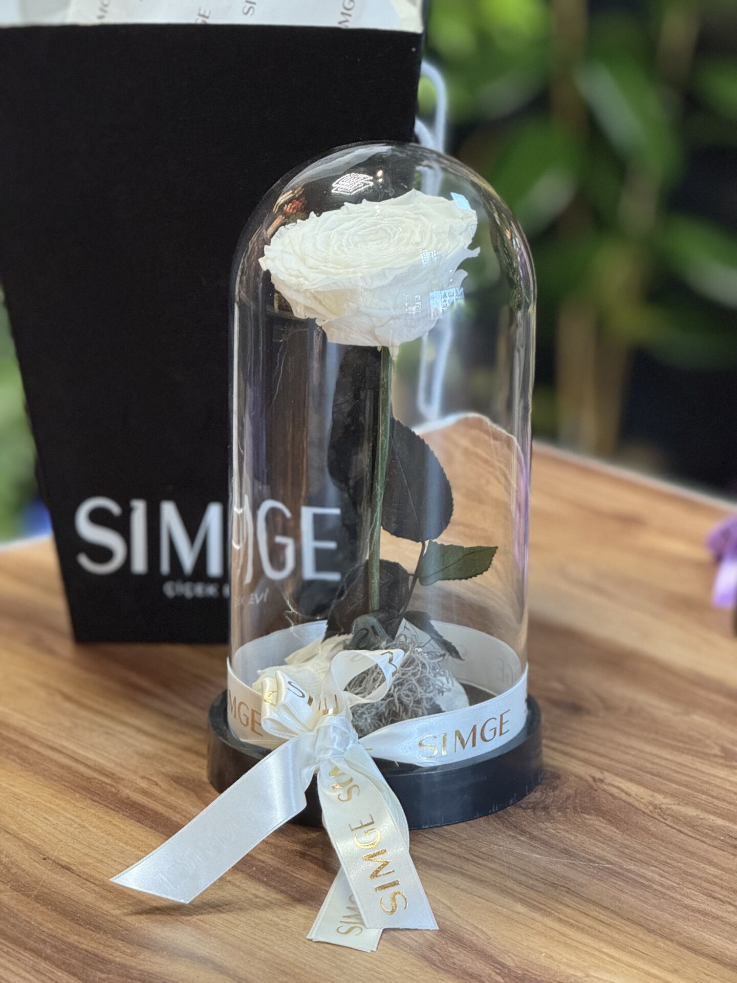 Cam Fanusta Büyük Boy Beyaz Solmayan Gül