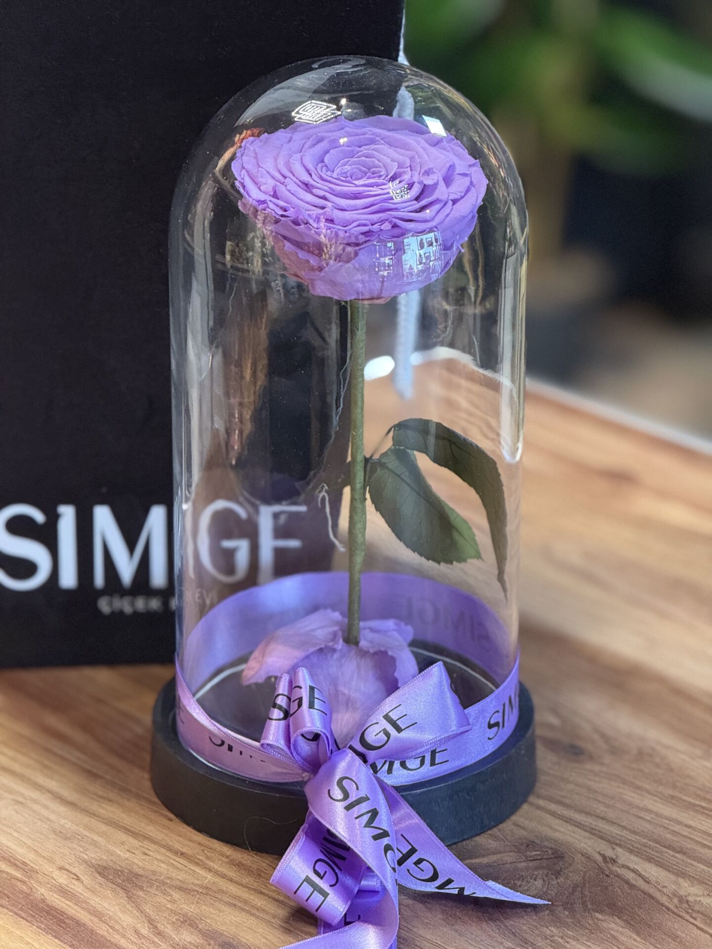 Cam Fanusta Büyük Boy Lila Solmayan Gül