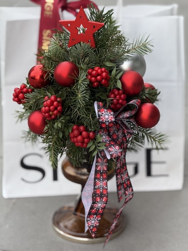 Vazoda Kokina Ağacı