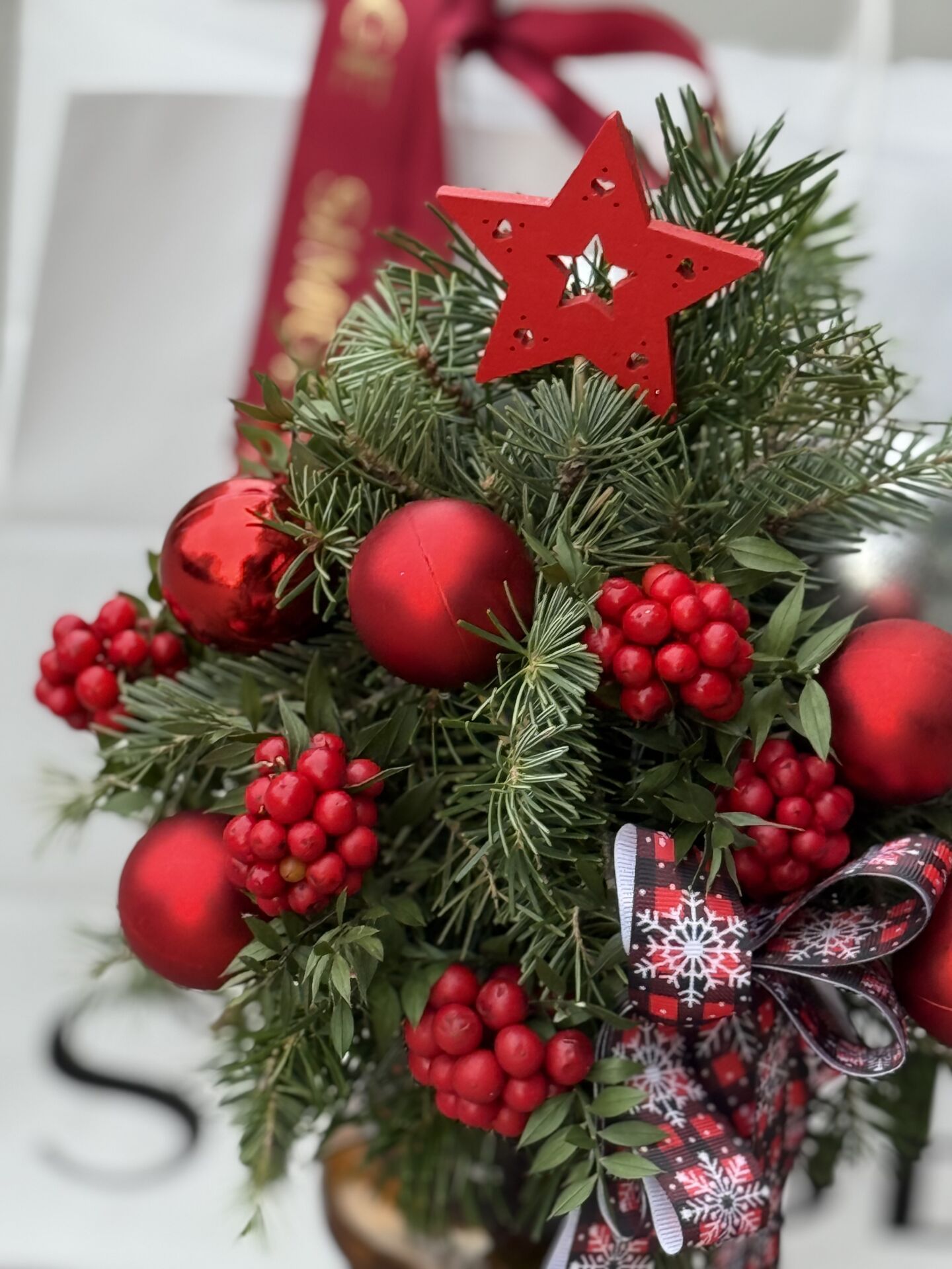 Vazoda Kokina Ağacı