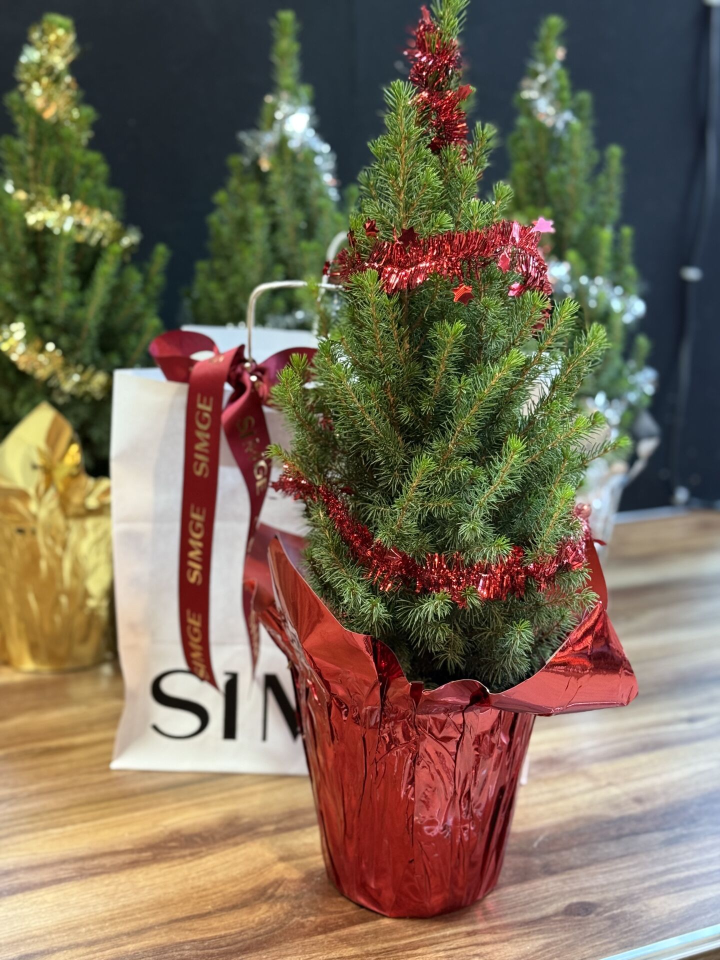 Yeni Yıl Çam Ağacı