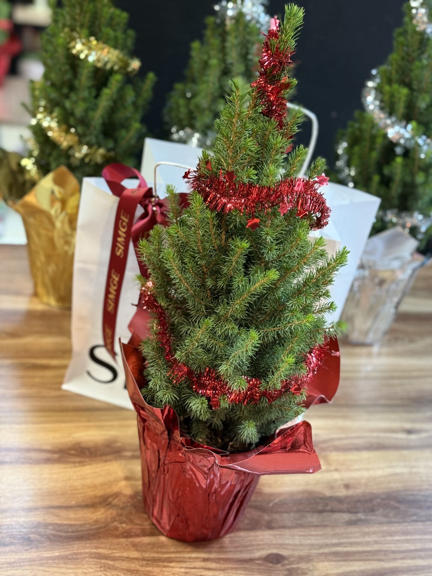 Yeni Yıl Çam Ağacı