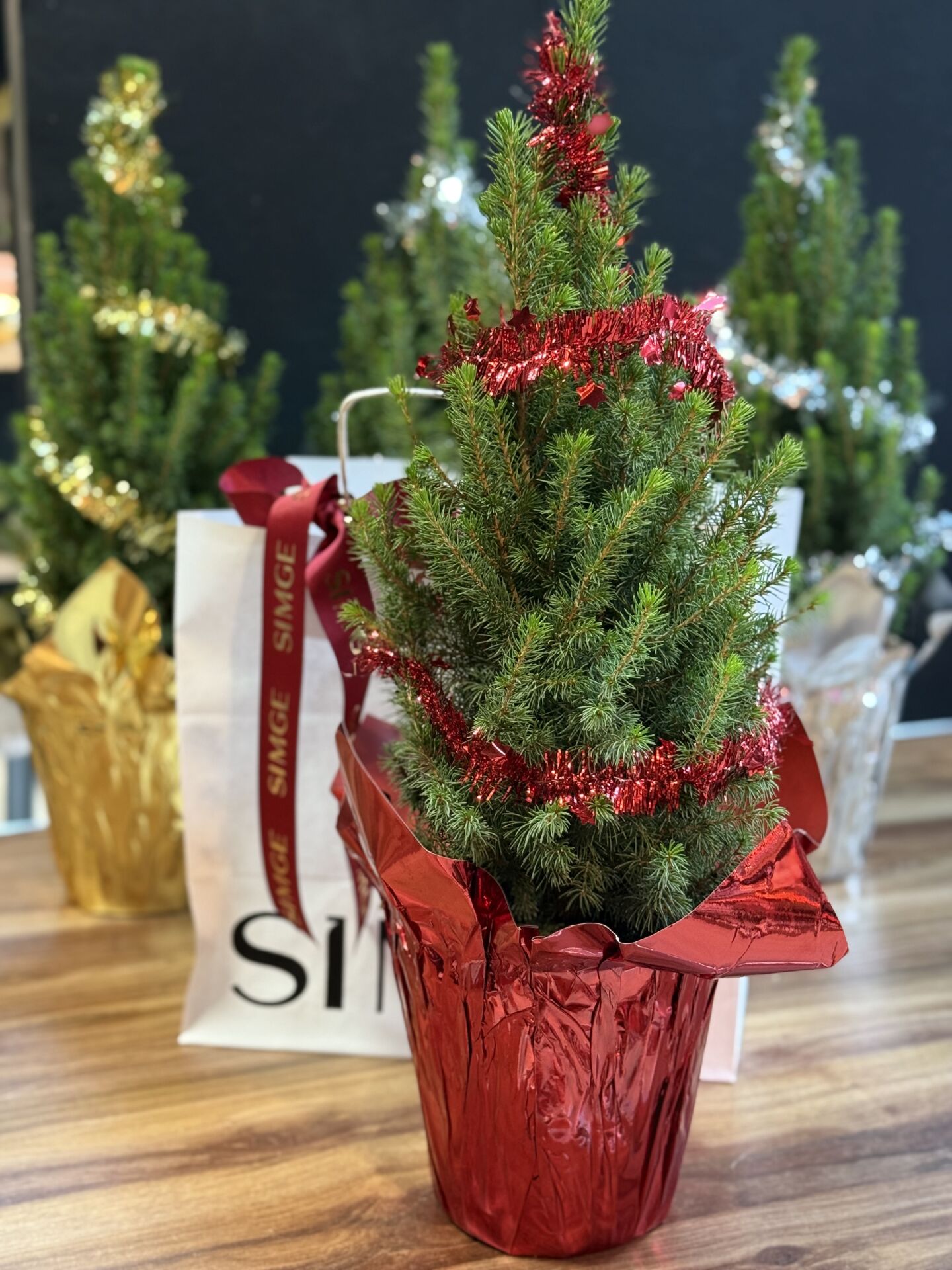 Yeni Yıl Çam Ağacı