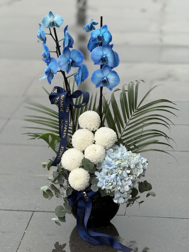 Dekoratif Cam Vazoda Mavi Orkide ve Canlı Çiçek Tasarımı