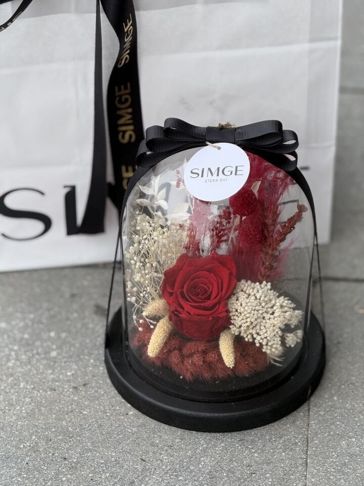 Cam Fanusta Tekli Kırmızı Solmayan Gül Aranjmanı