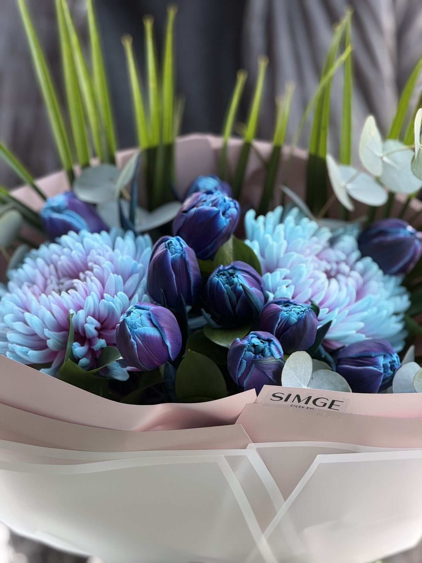 Silvia Bubblegum Anastasia ve Galaksi Mavi Lale Buketi