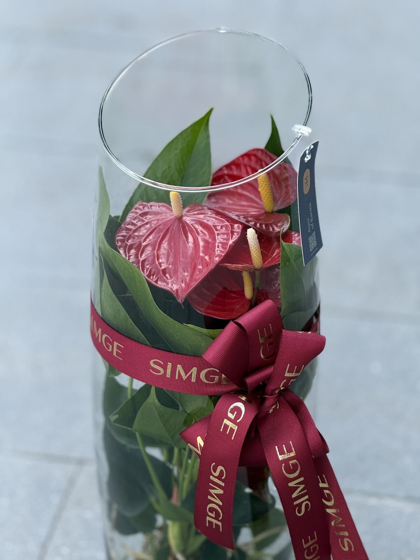 Uzun Silindir Cam Vazoda Anthurium Bitkisi